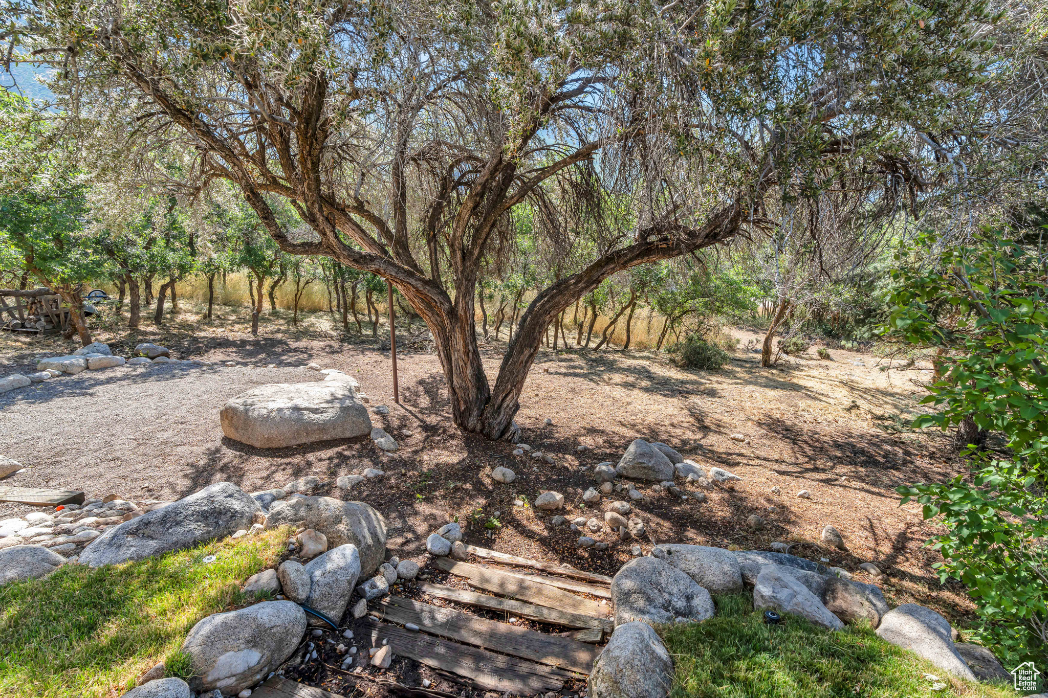4251 ALPINE COVE DR