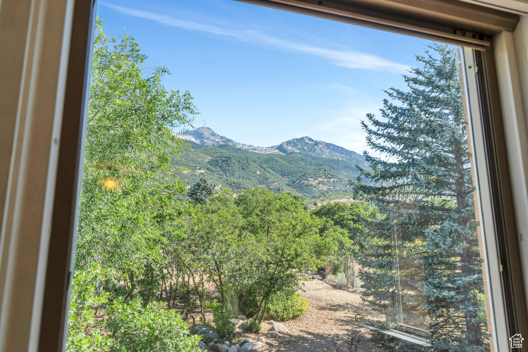 4251 ALPINE COVE DR