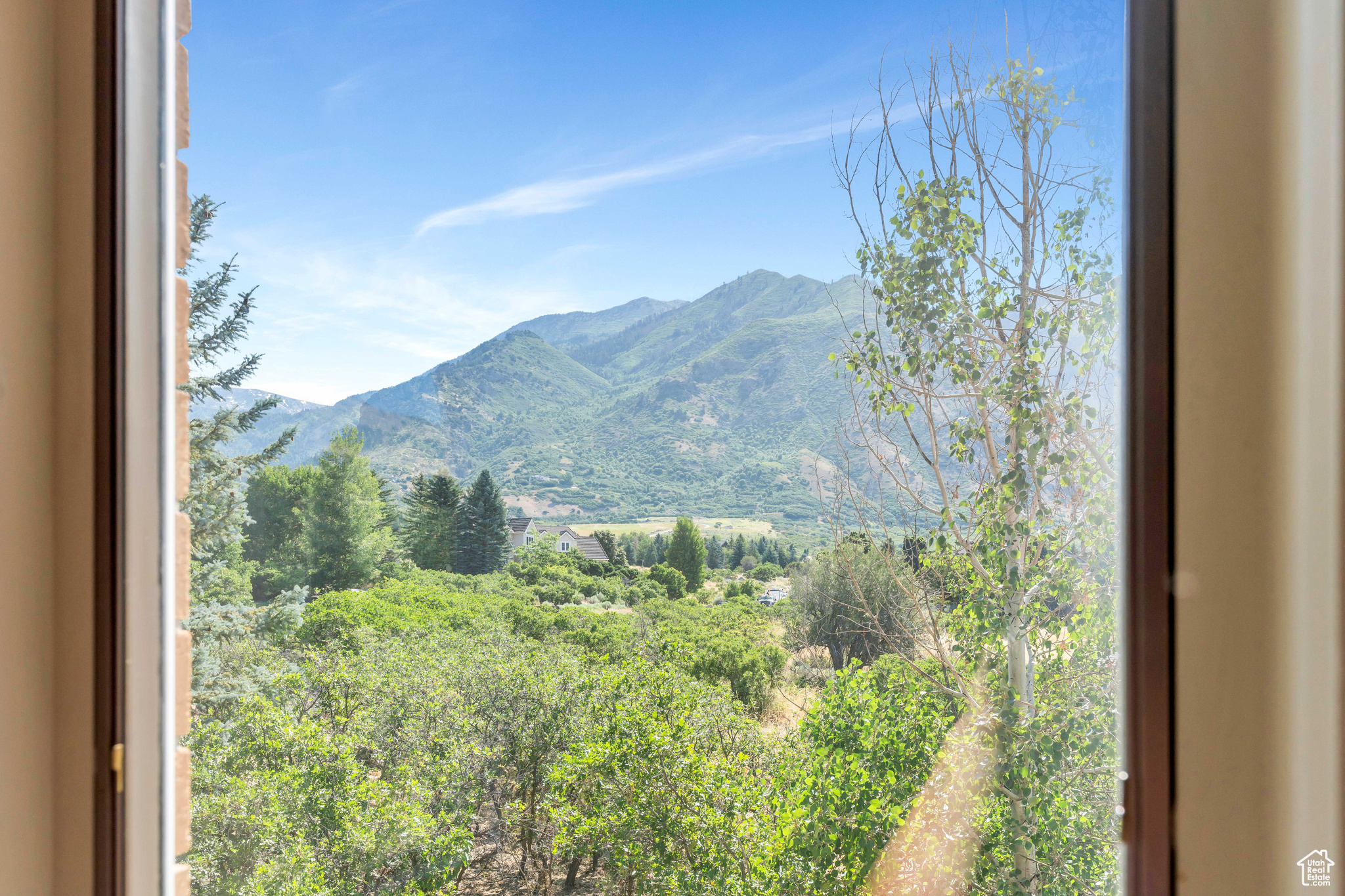 4251 ALPINE COVE DR