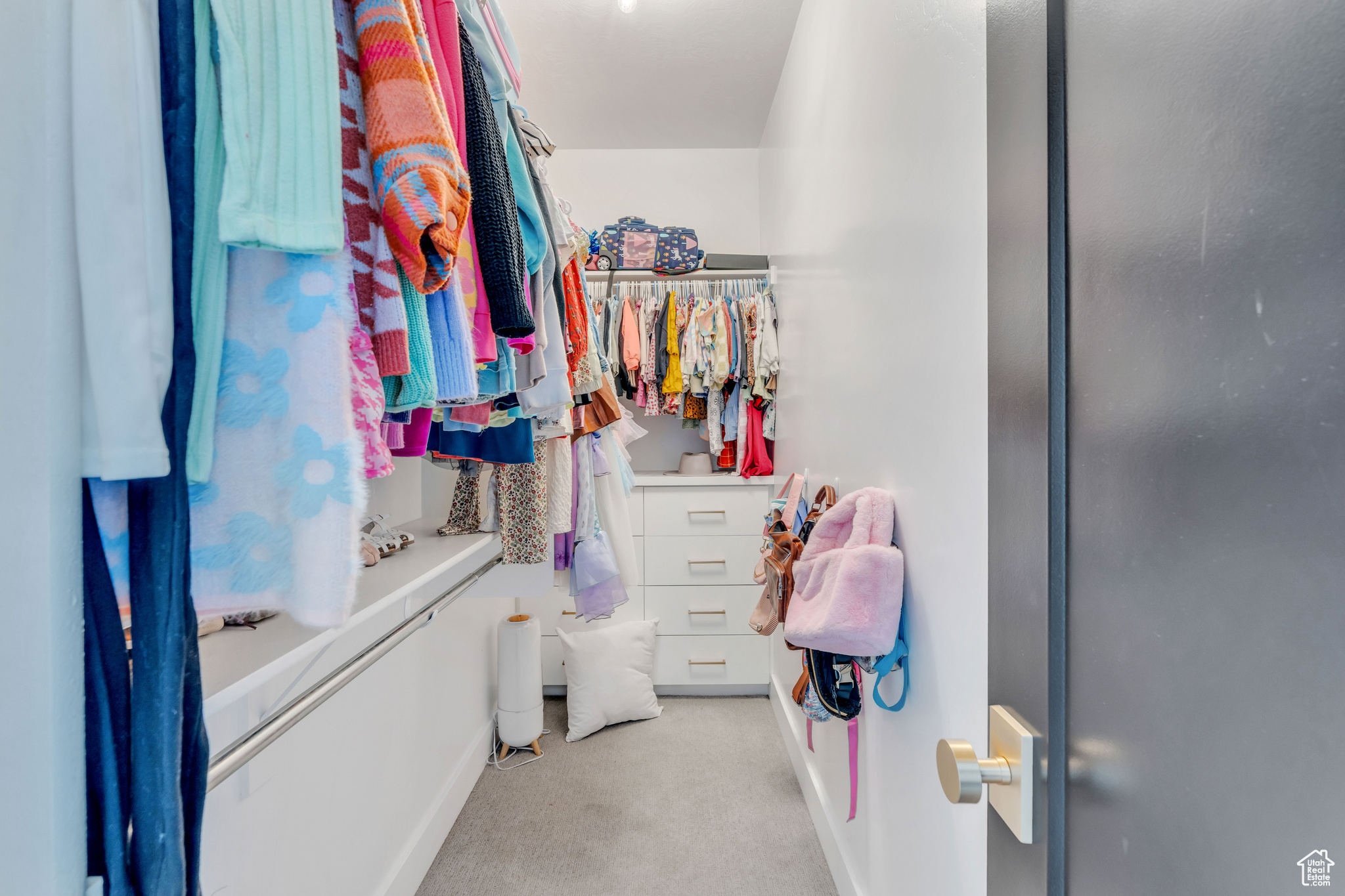 10873 S RETA VIEW CT