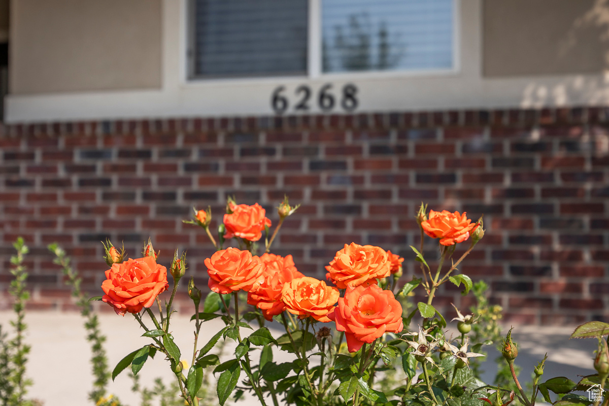 6268 W 8235 S