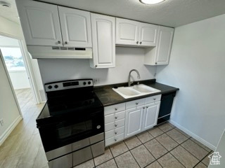 1689 W 8295 S #10