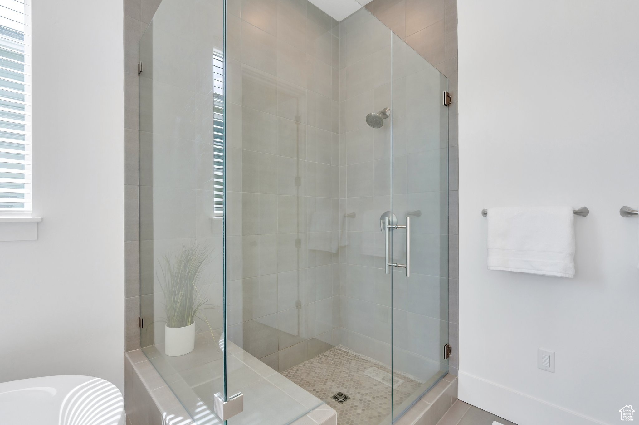 14673 S SILVER BLOSSOM WAY