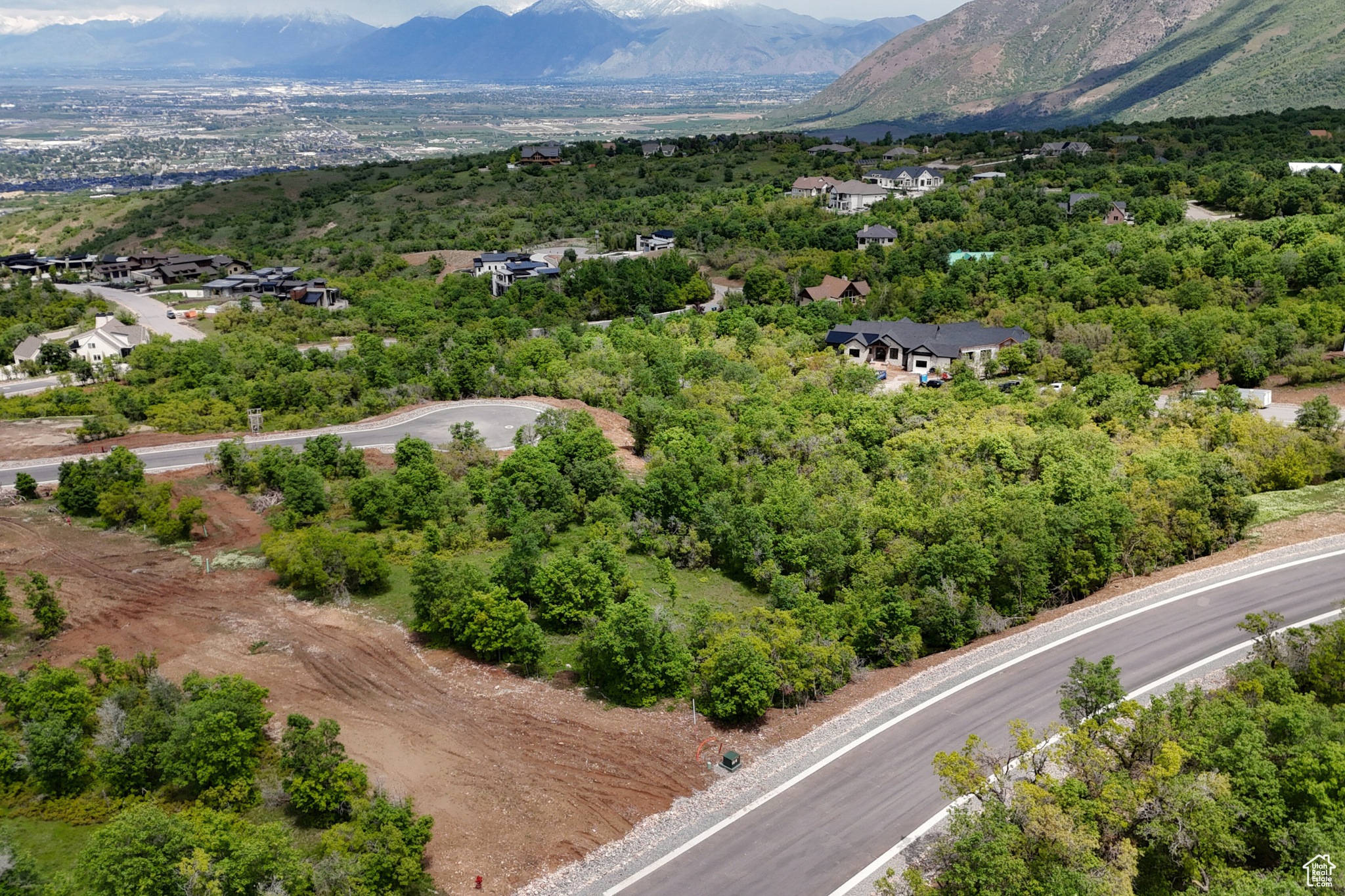1025 BEAR HOLLOW DR Unit: 146