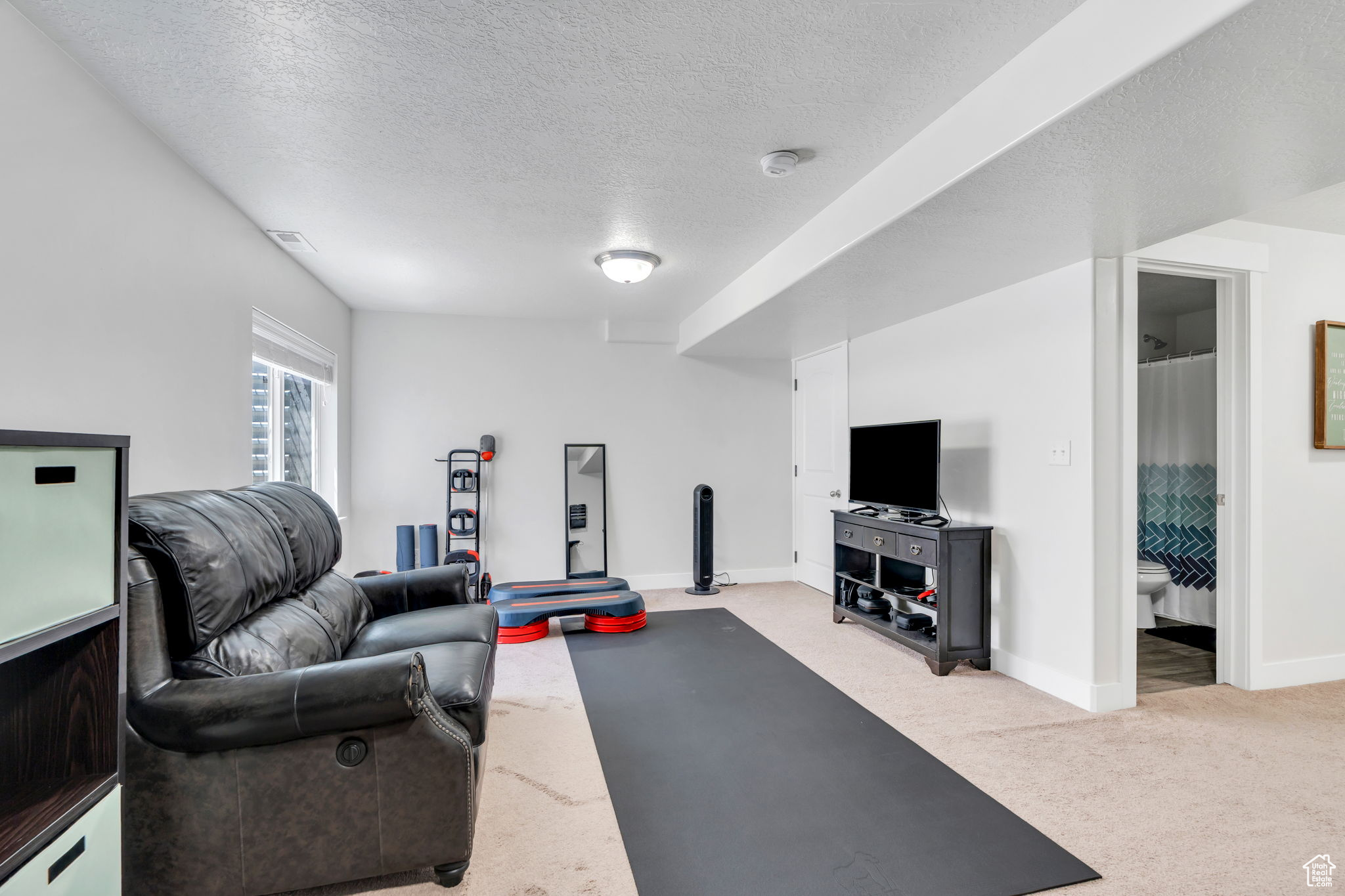 219 W SILVER SPRINGS DR