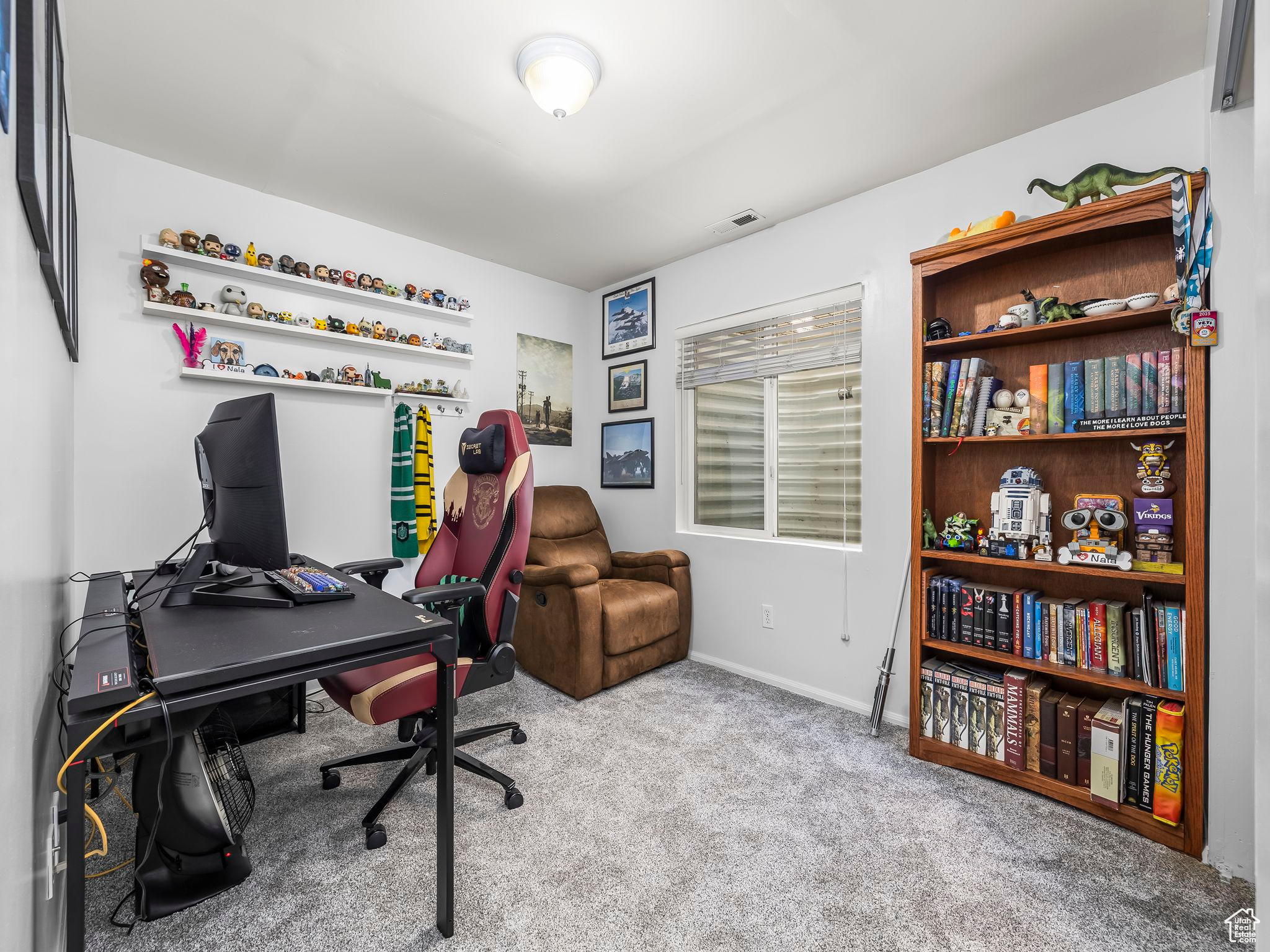 13094 S PIONEER PARK DR