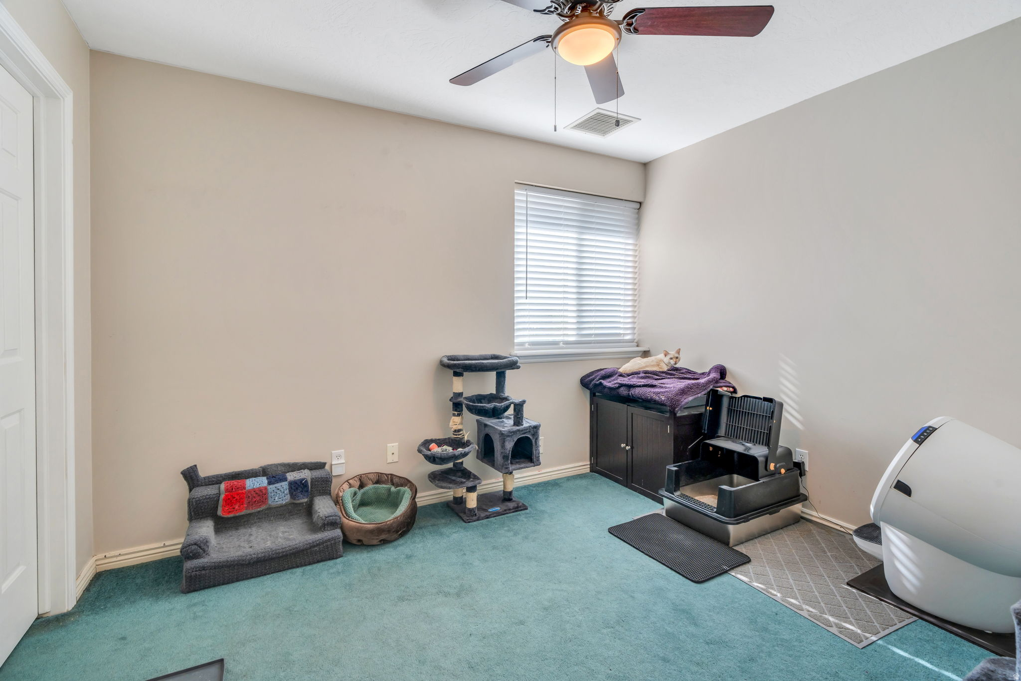 4056 W MULEY CT