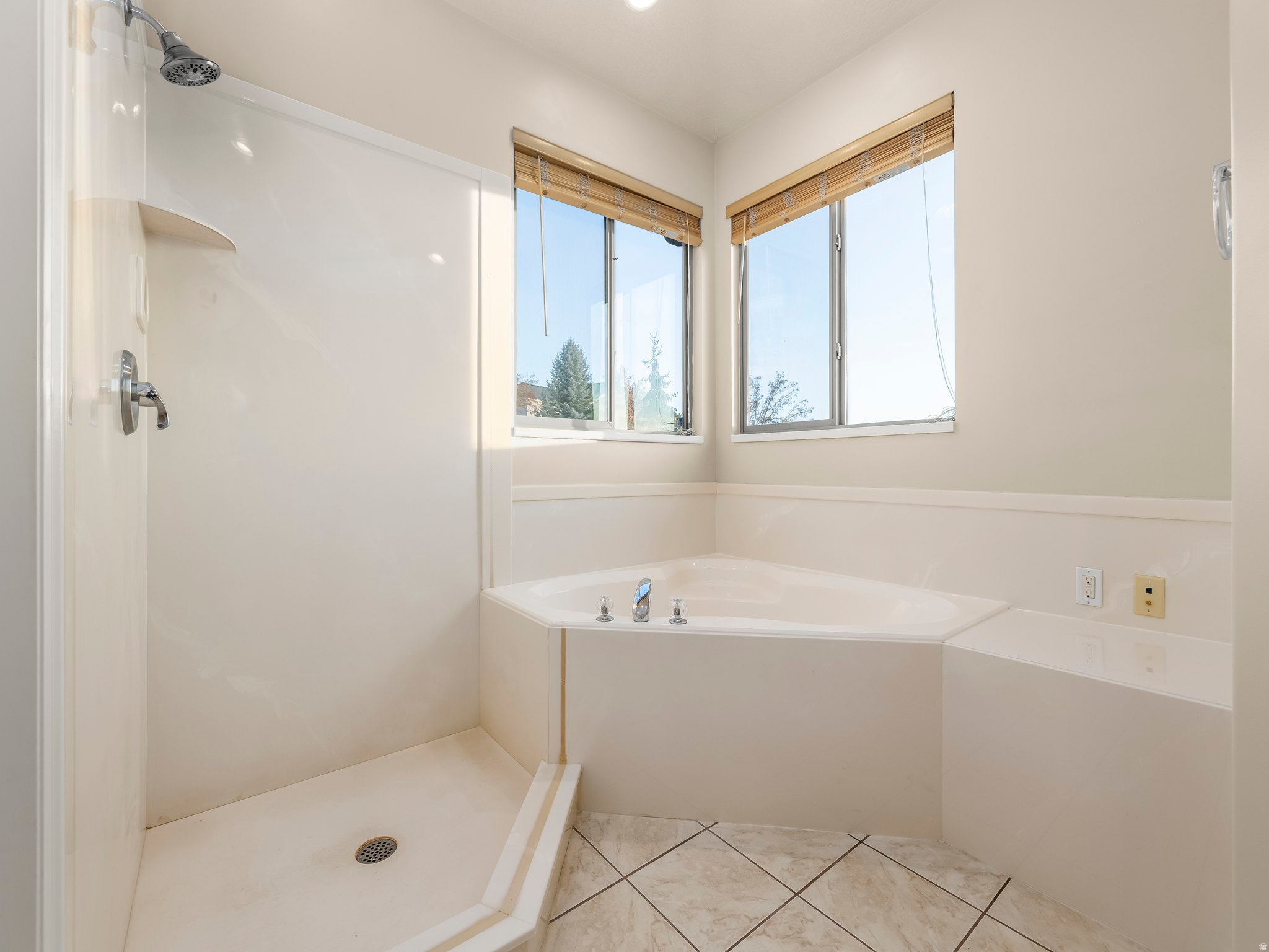 9242 N EMERALD LAKE CV