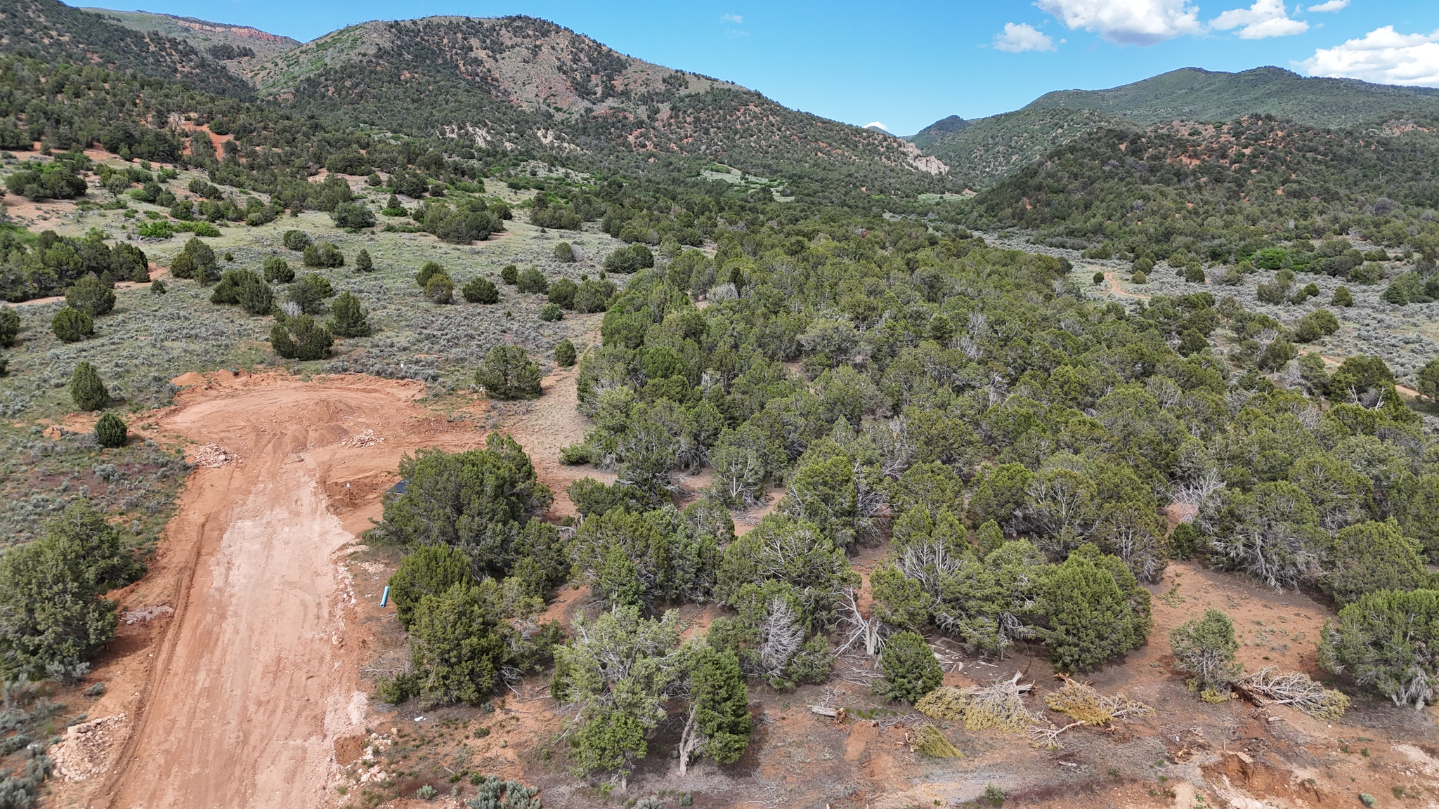 20445 SADDLE HORN DR Unit: 80