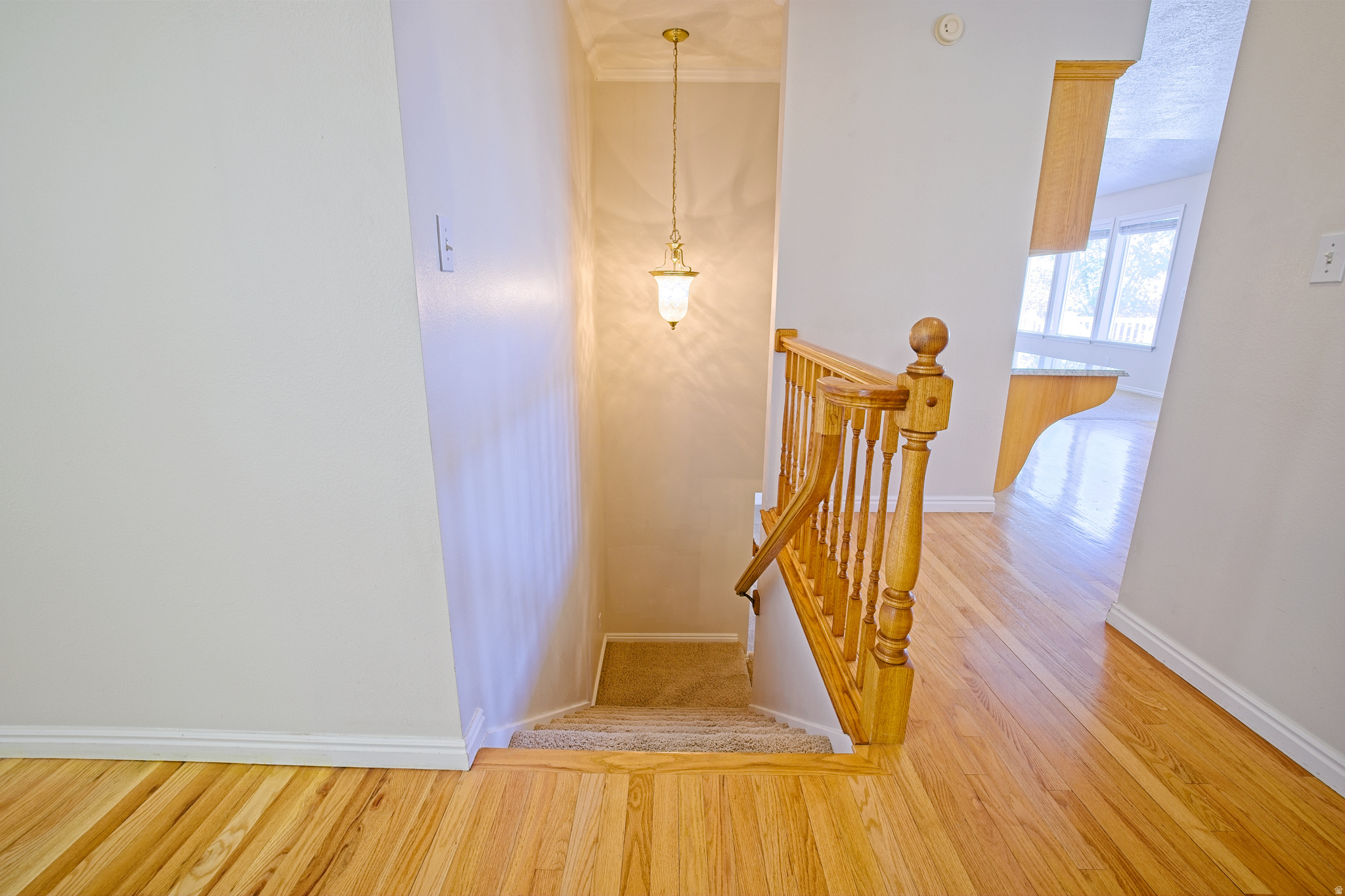50 E HIGHLINE DR