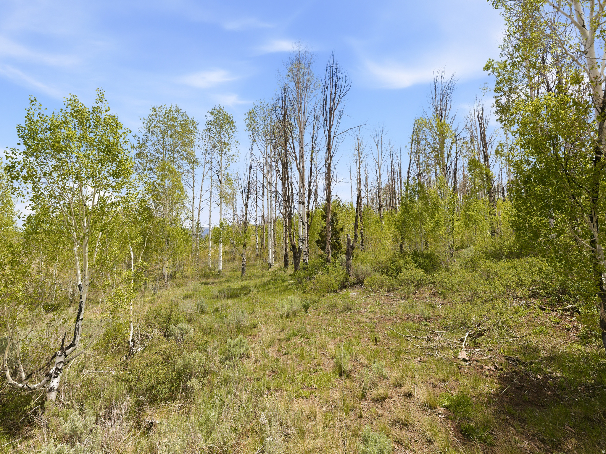 23133 E ALTA DR Unit: 12