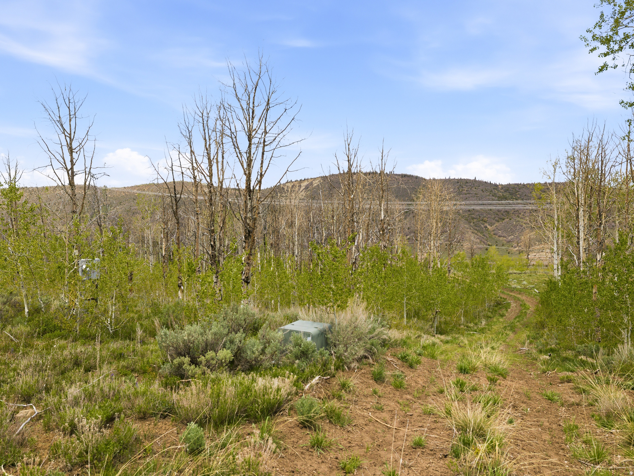 23133 E ALTA DR Unit: 12