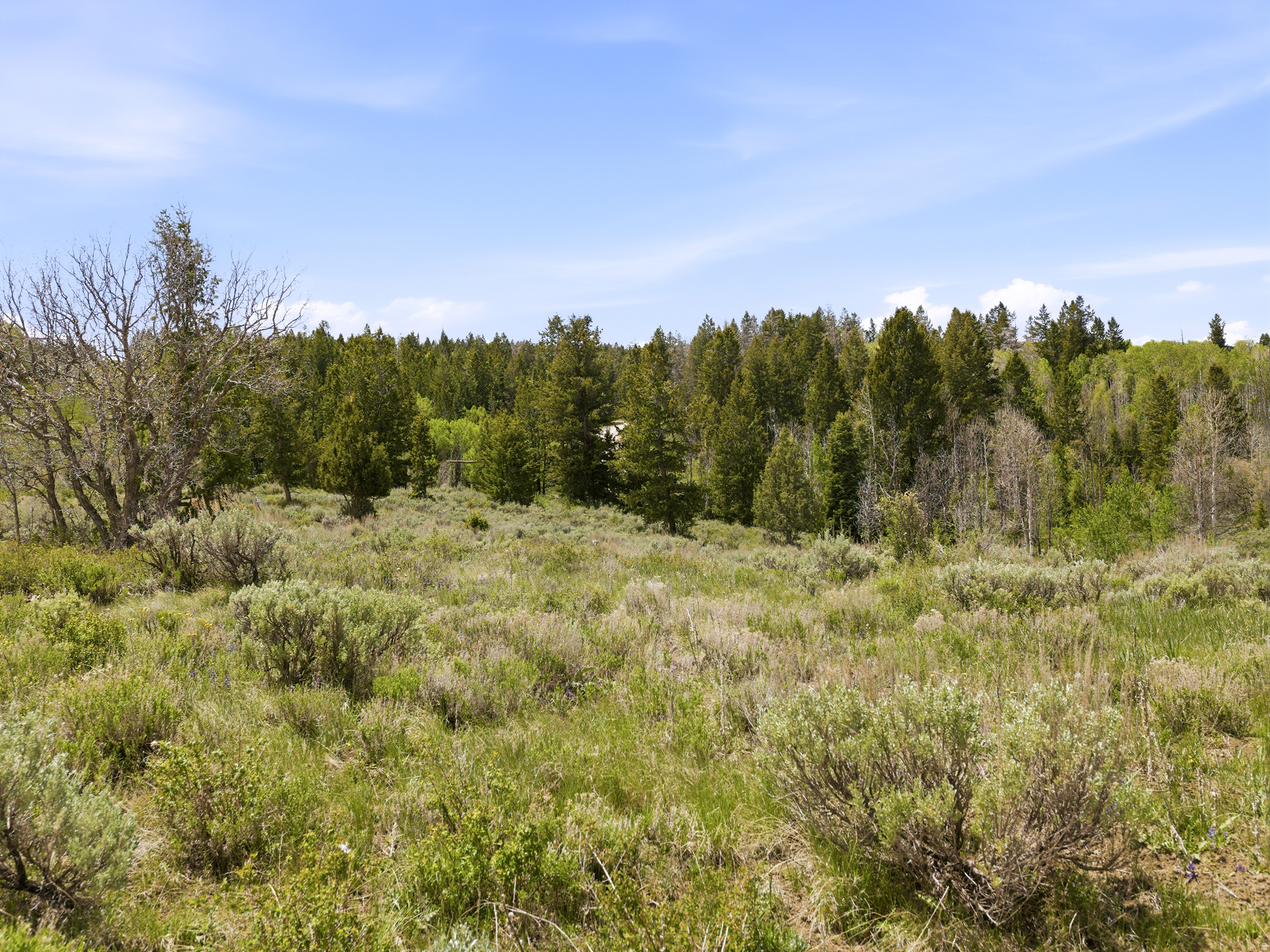 23133 E ALTA DR Unit: 12