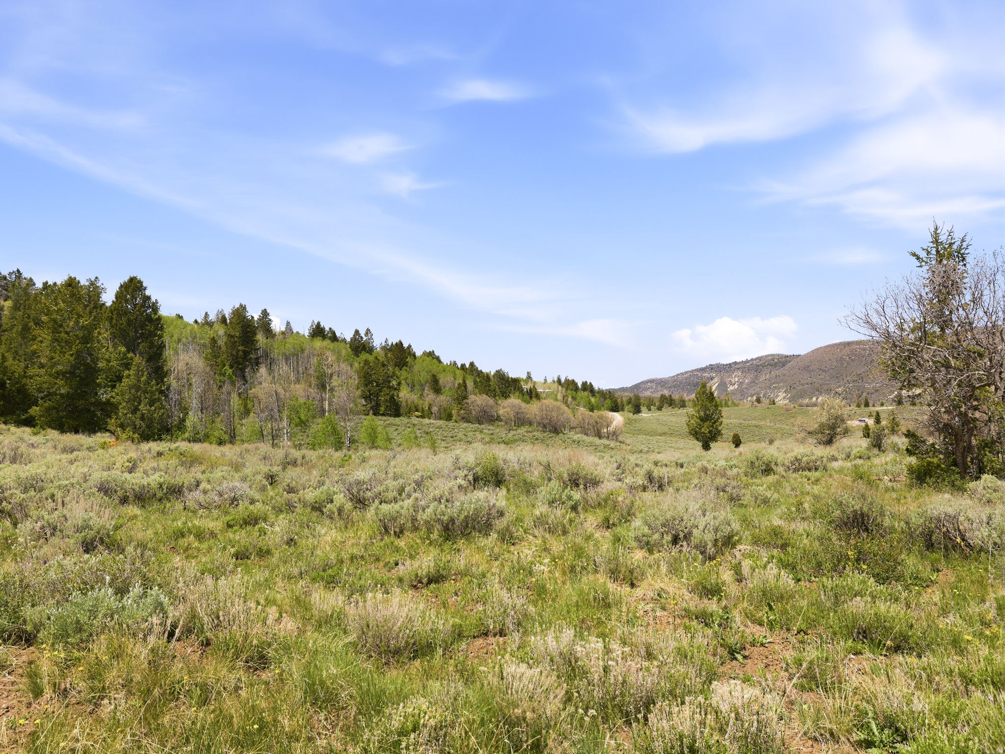 23133 E ALTA DR Unit: 12