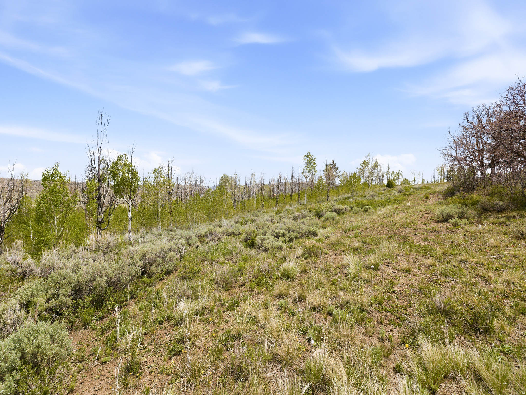 23133 E ALTA DR Unit: 12