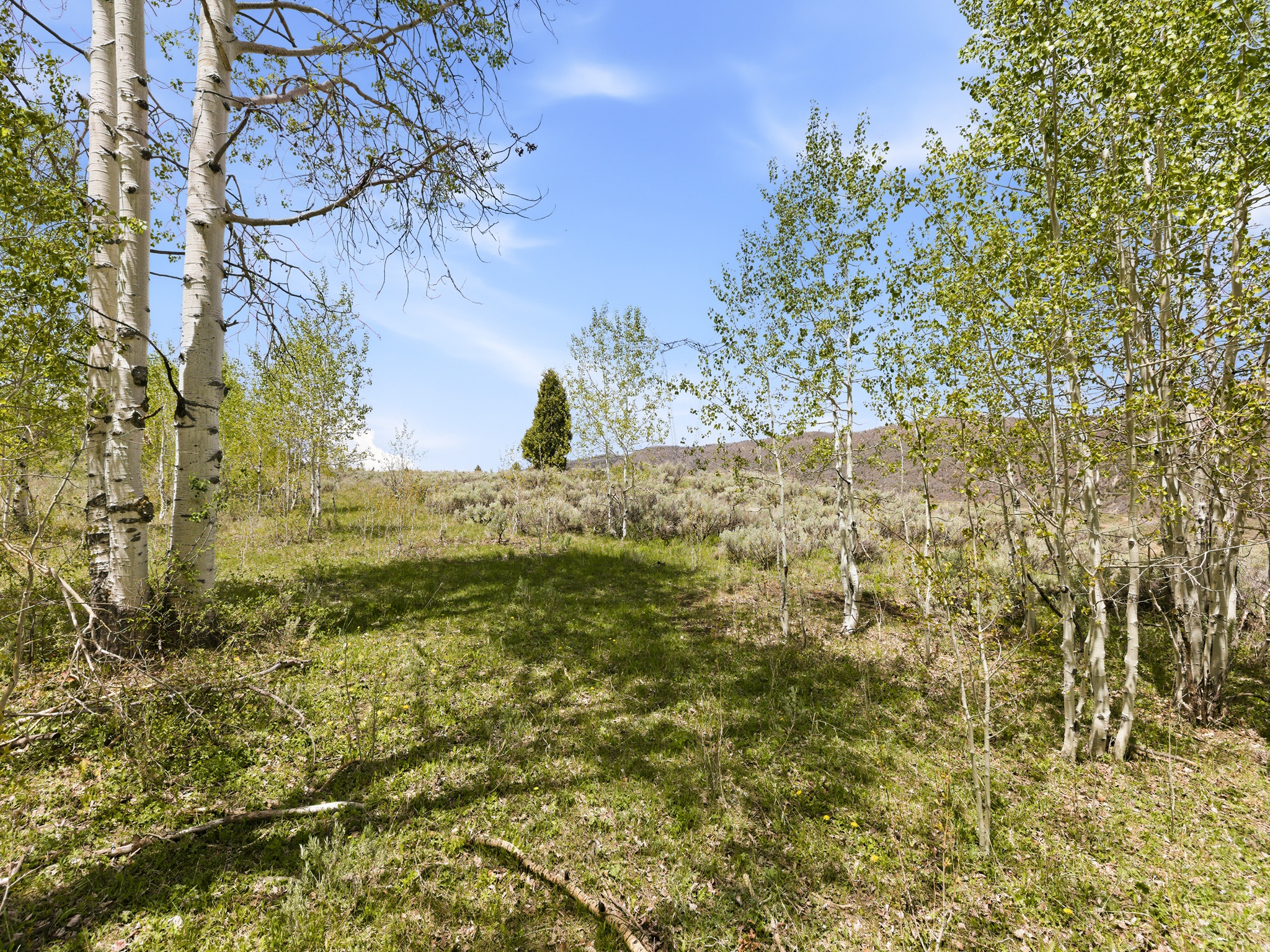 23133 E ALTA DR Unit: 12