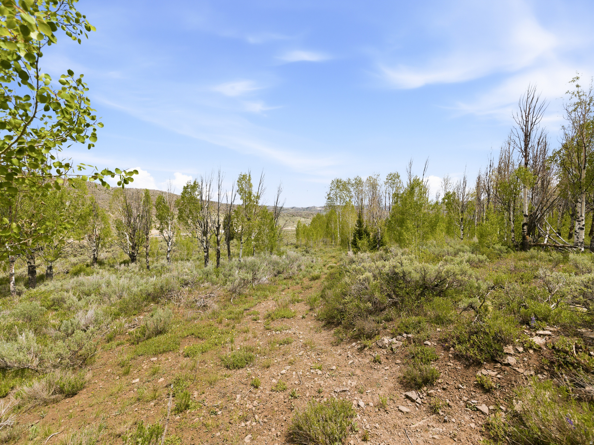 23133 E ALTA DR Unit: 12