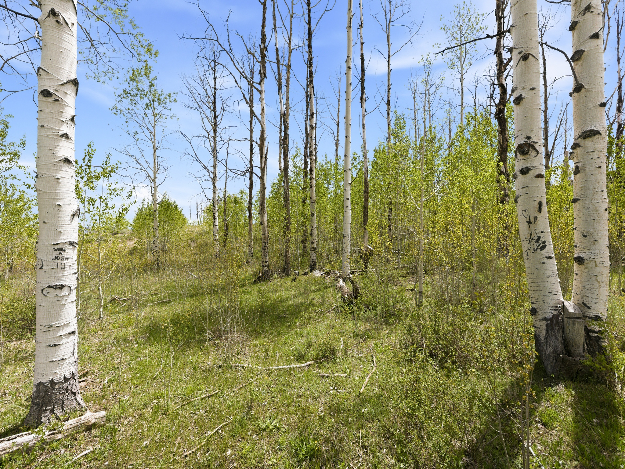 23133 E ALTA DR Unit: 12