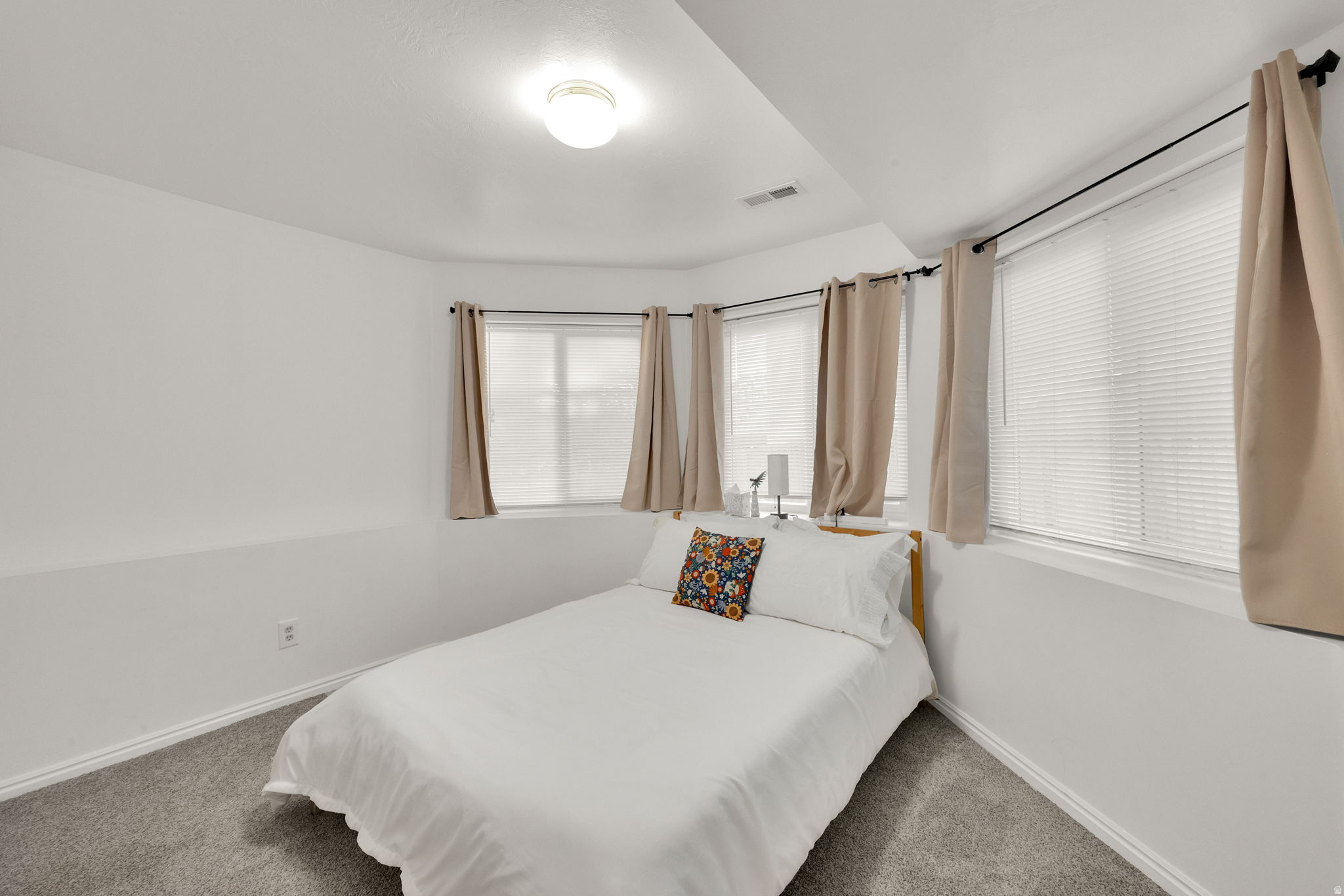 10238 S SNOW IRIS WAY
