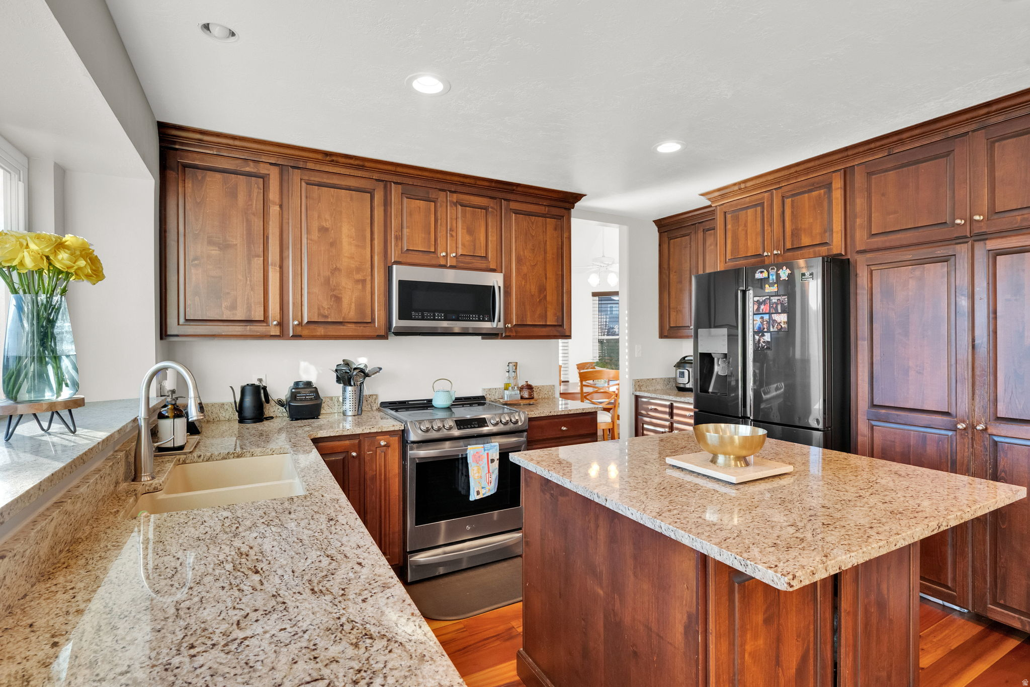 10238 S SNOW IRIS WAY