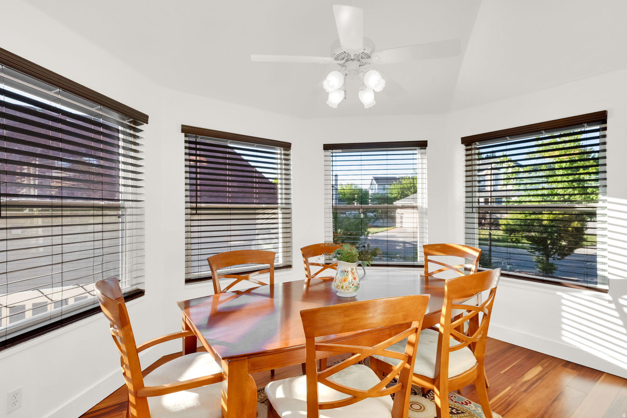 10238 S SNOW IRIS WAY
