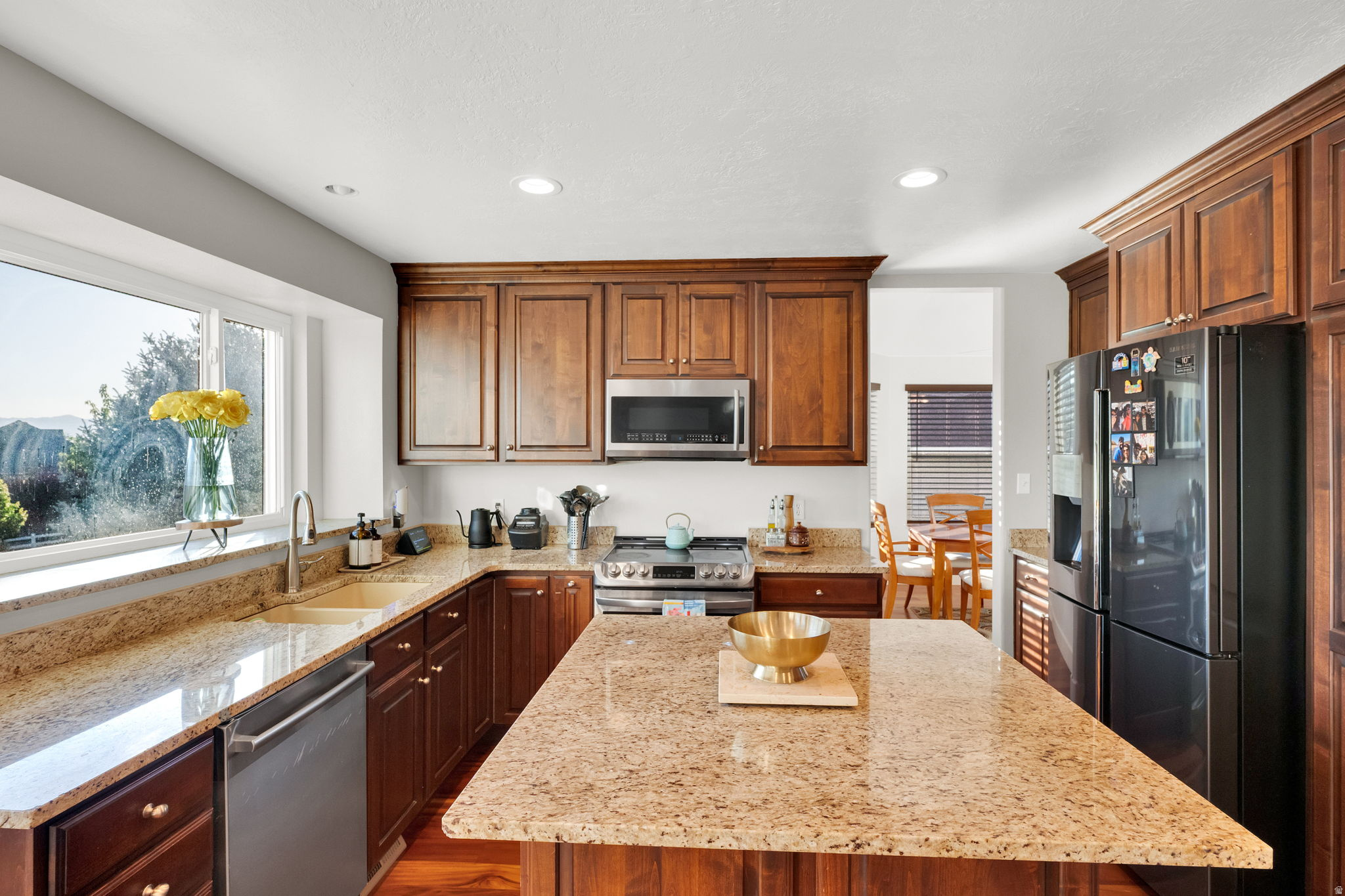 10238 S SNOW IRIS WAY
