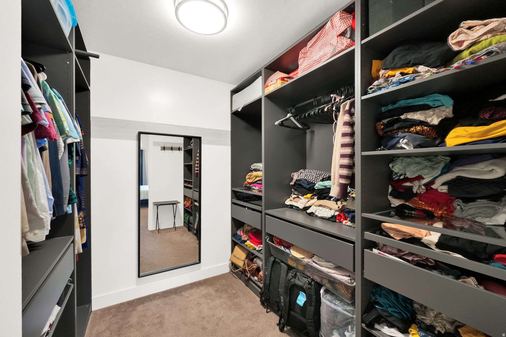10238 S SNOW IRIS WAY