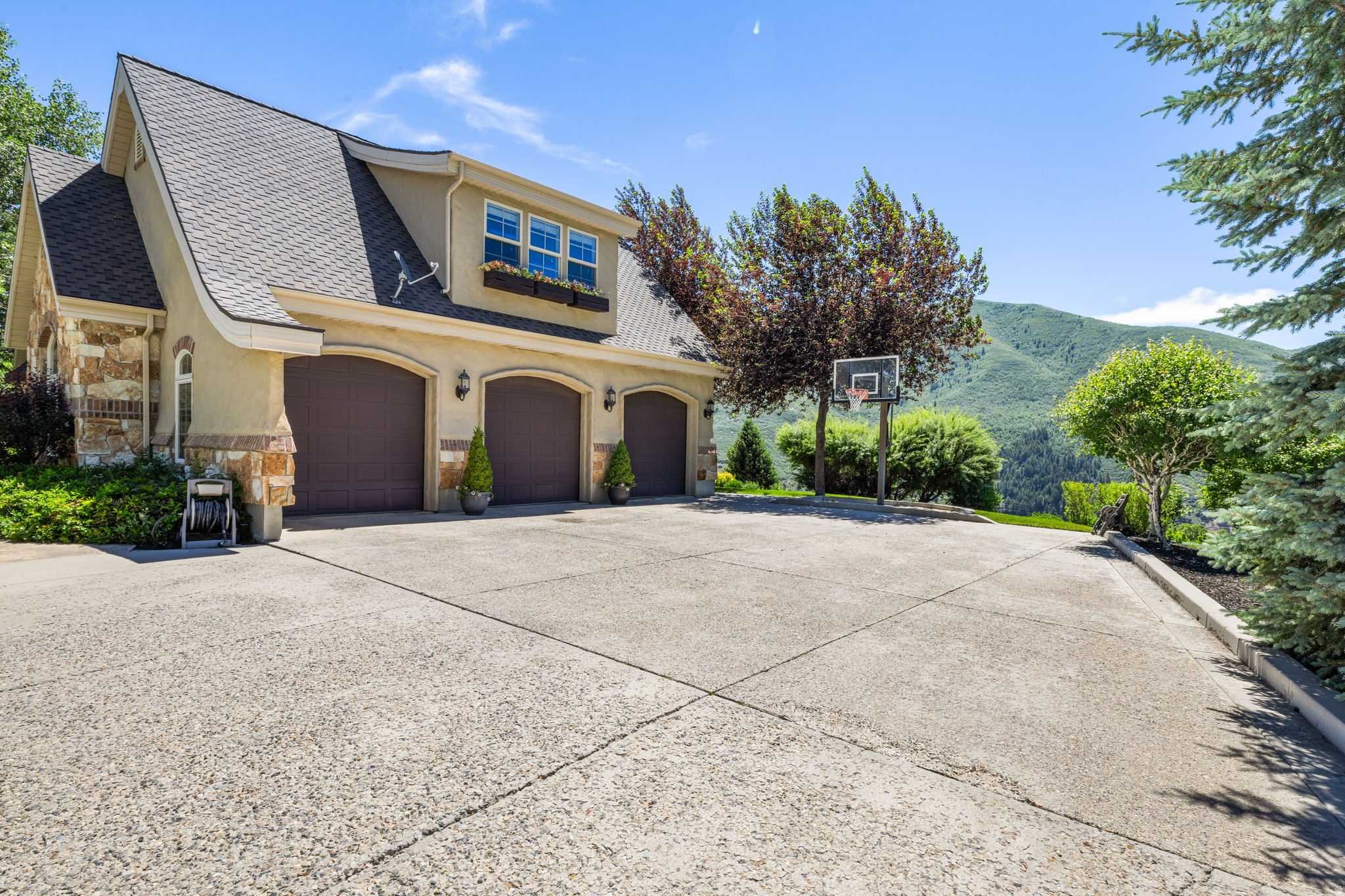 8558 CHOKECHERRY LN