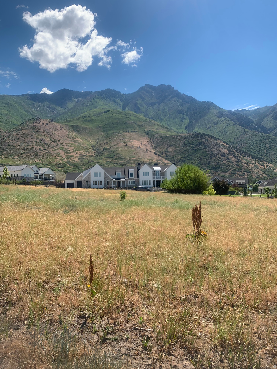 803 N ALPINE BLVD