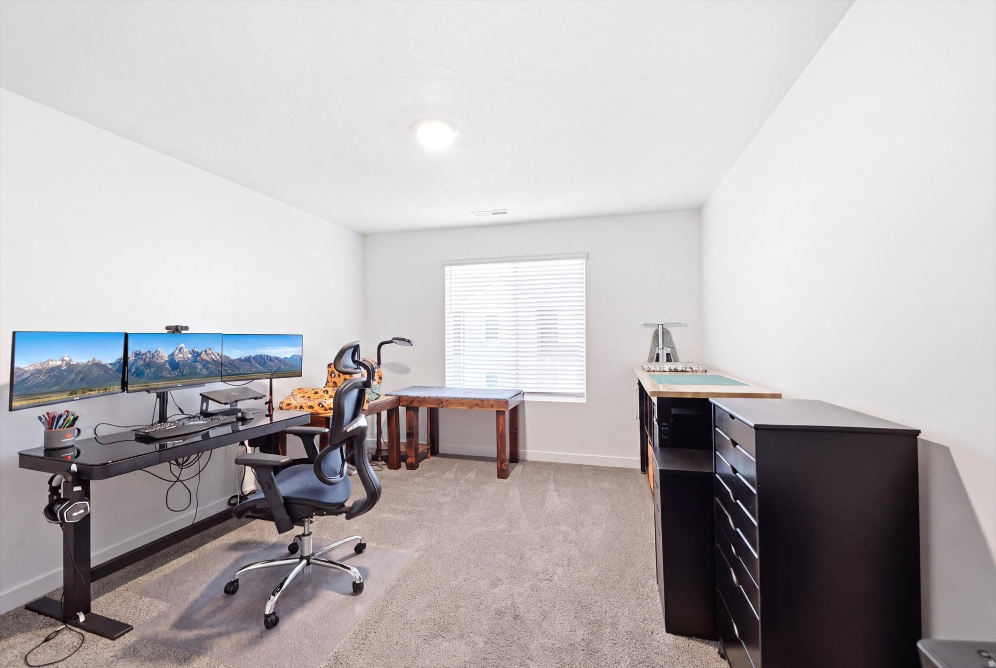 1123 W HIDDEN SPRING DR