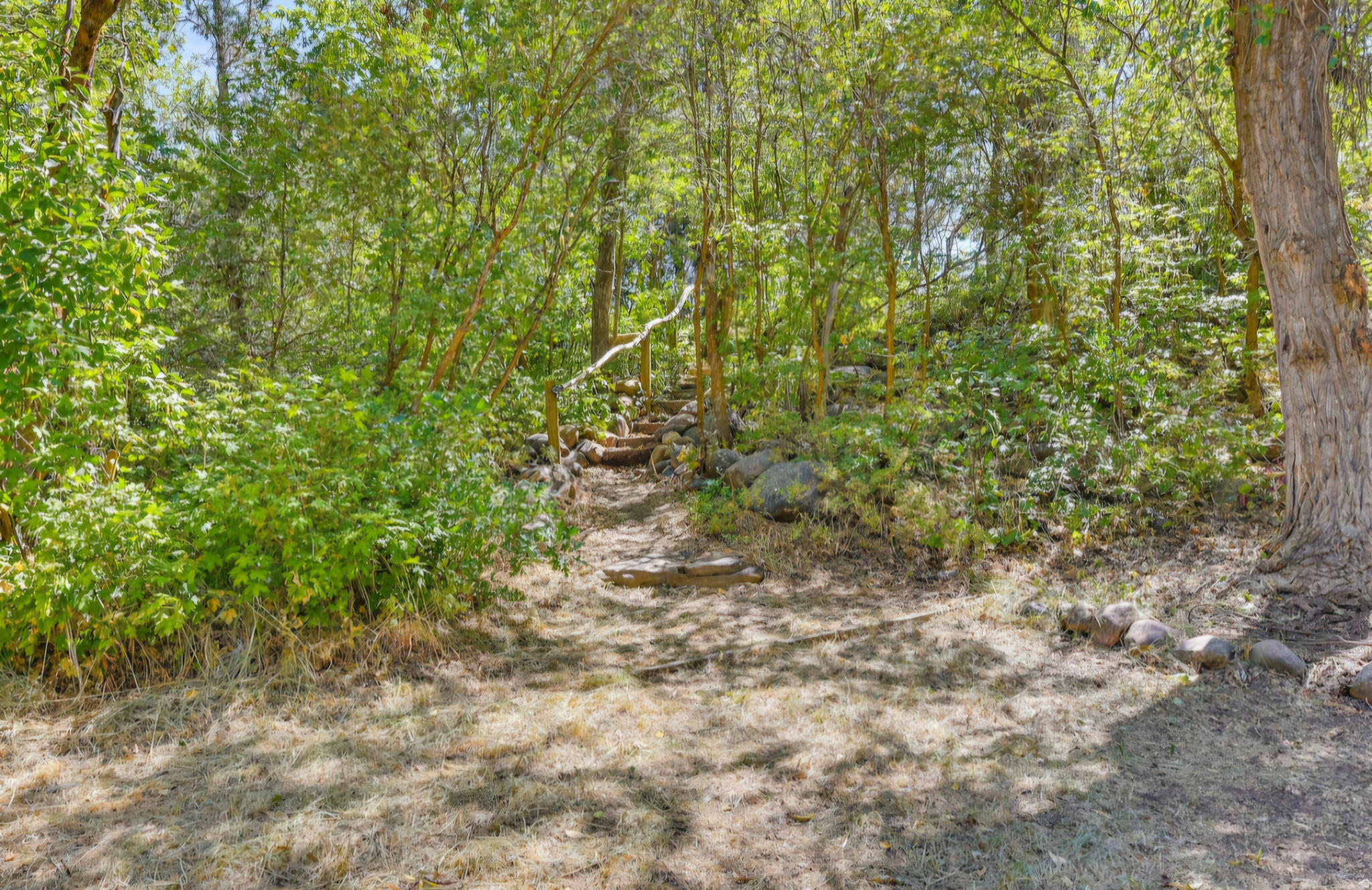 2891 N EVERGREEN PARK DR