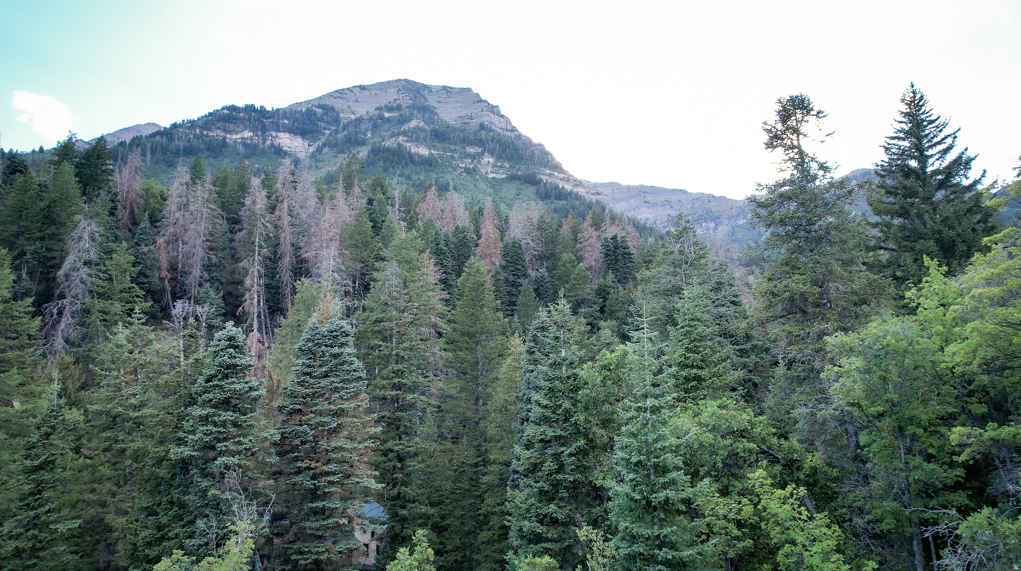 3 SUNDANCE REC RESORT Unit: 3