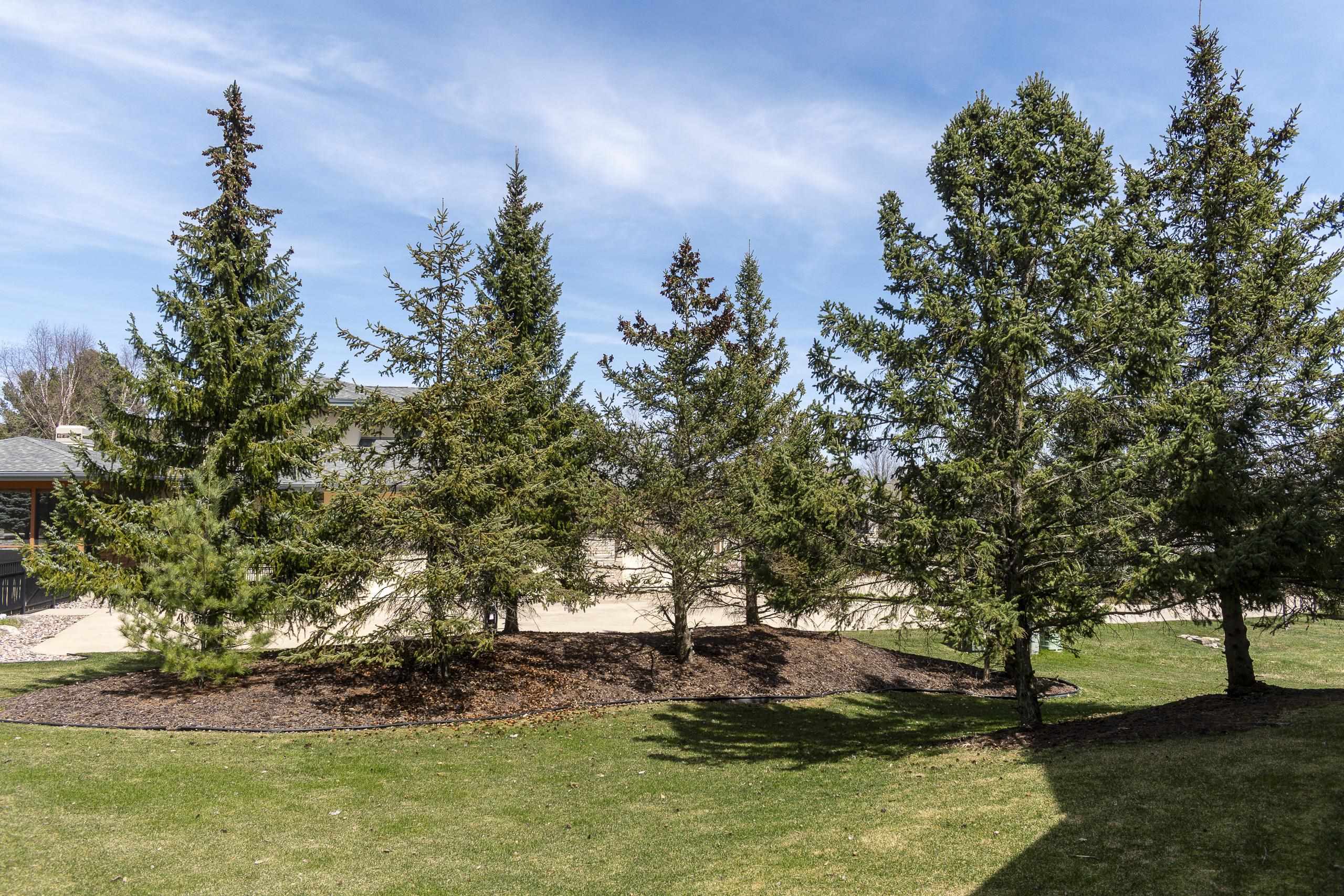 1105 Meadow Mist Road