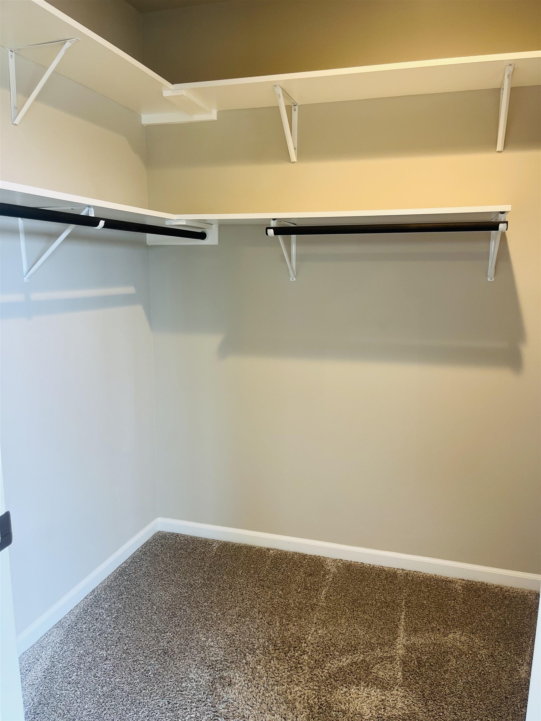 1105 Reese Trail