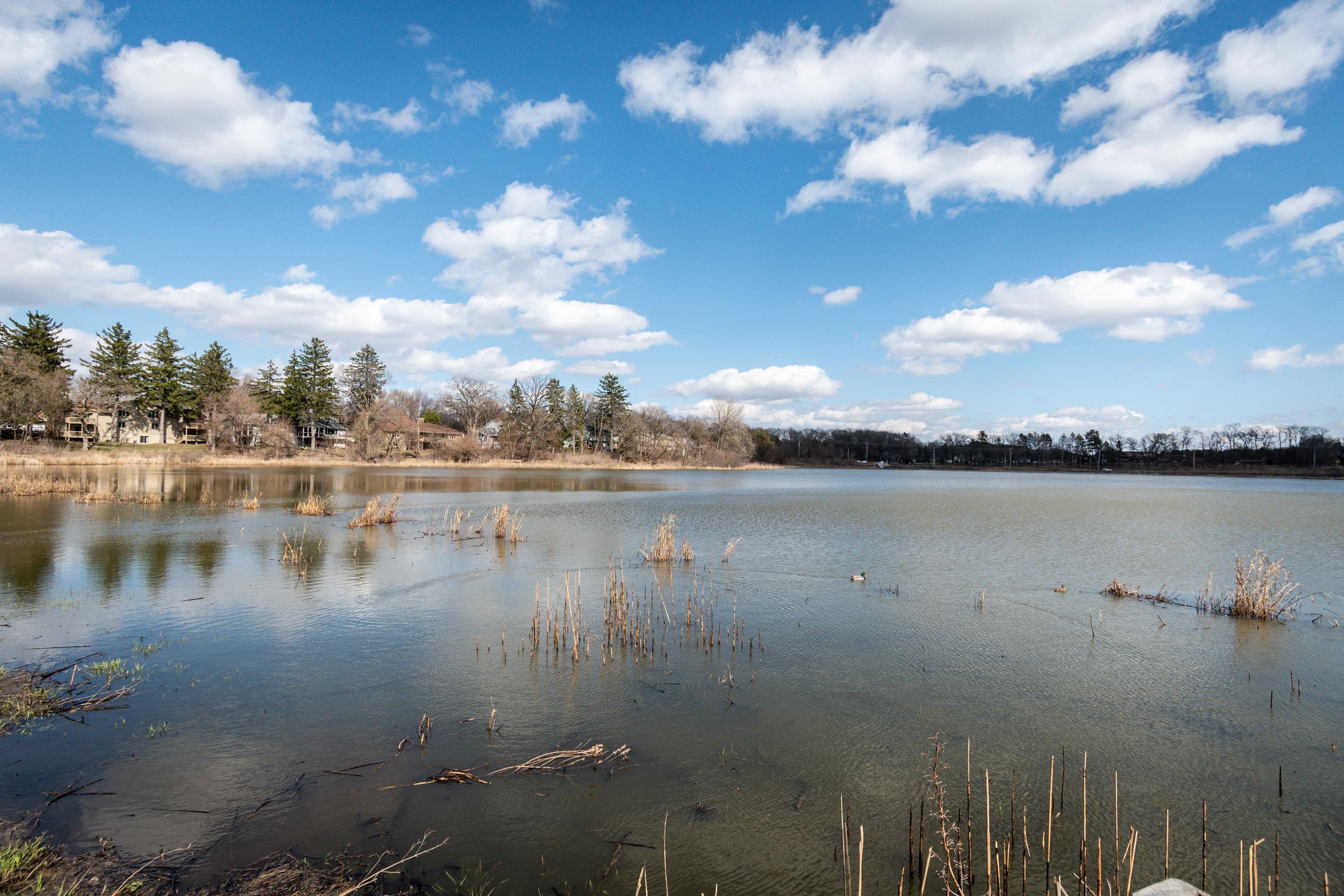 1615 Pond View Court