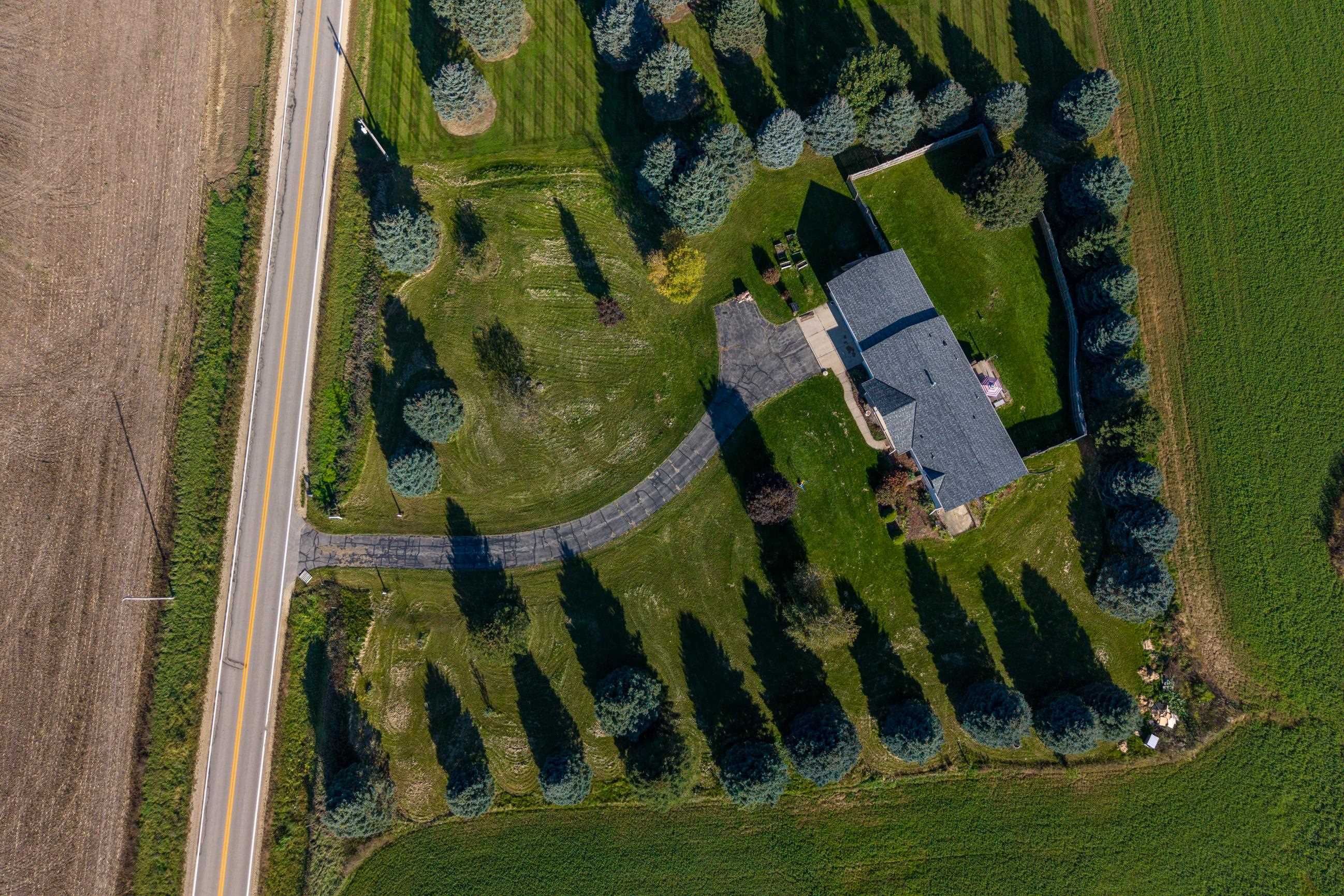 Aerial view of a home on a landscaped lot with a curved driveway and rows of evergreens.