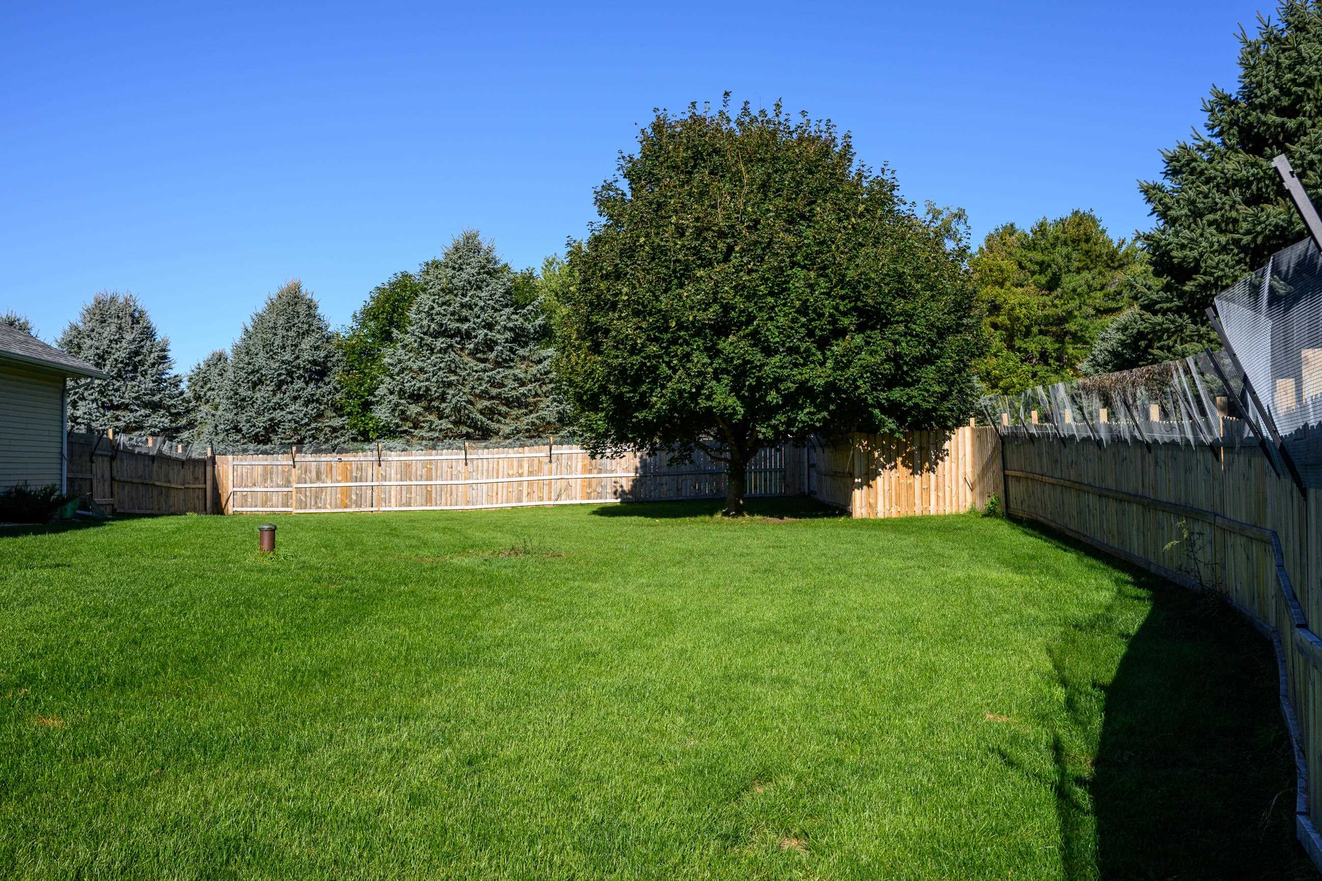 Fenced backyard with a broad green lawn and mature trees.