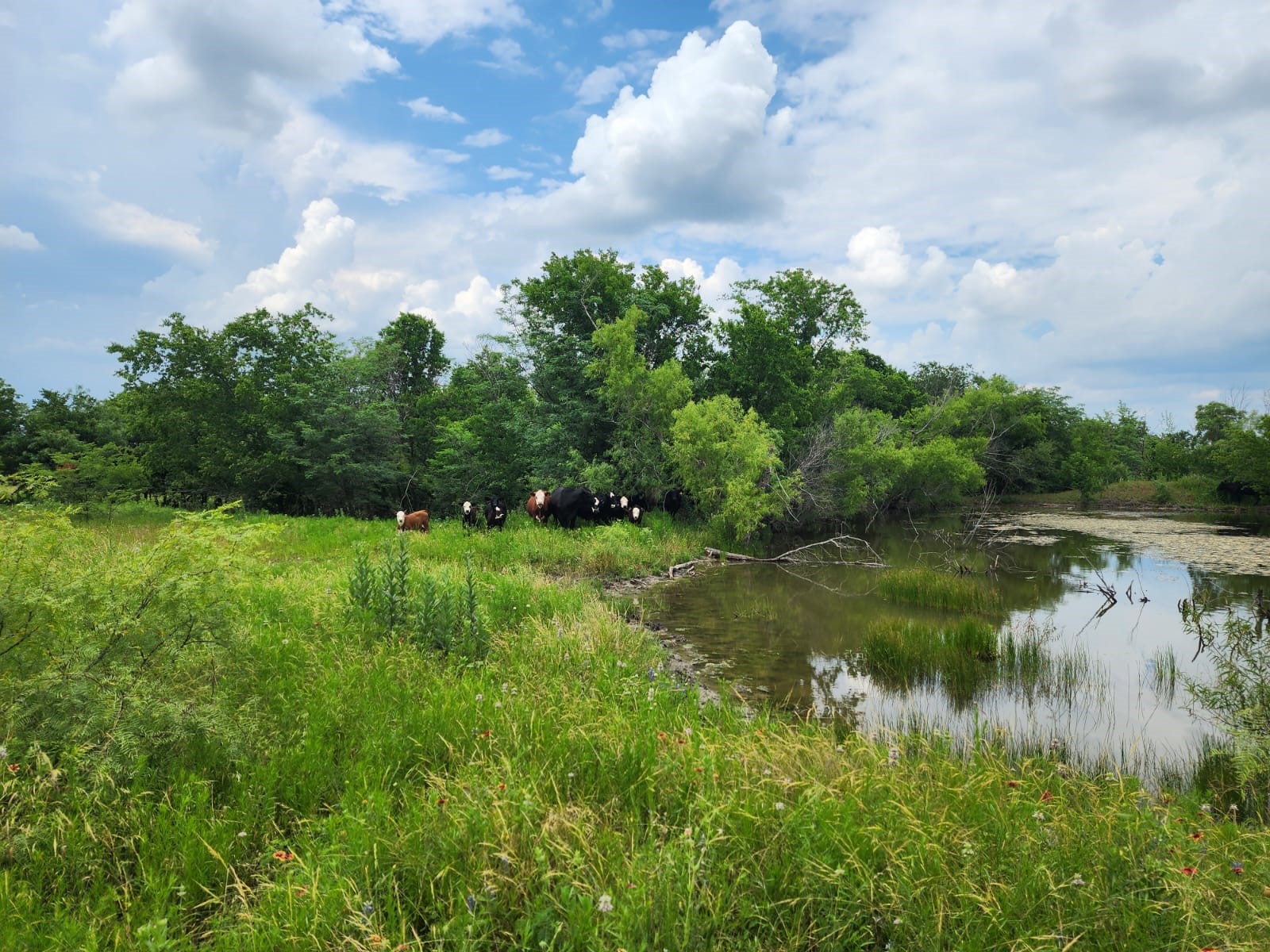 8039 W State Highway 34