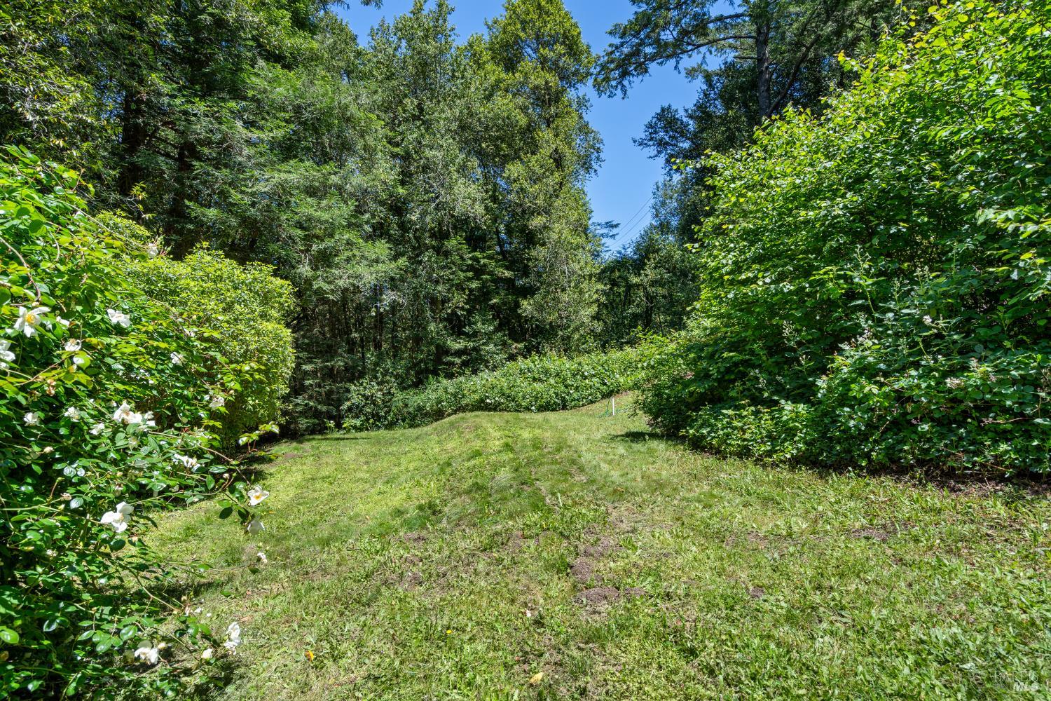 805 Wagnon Road