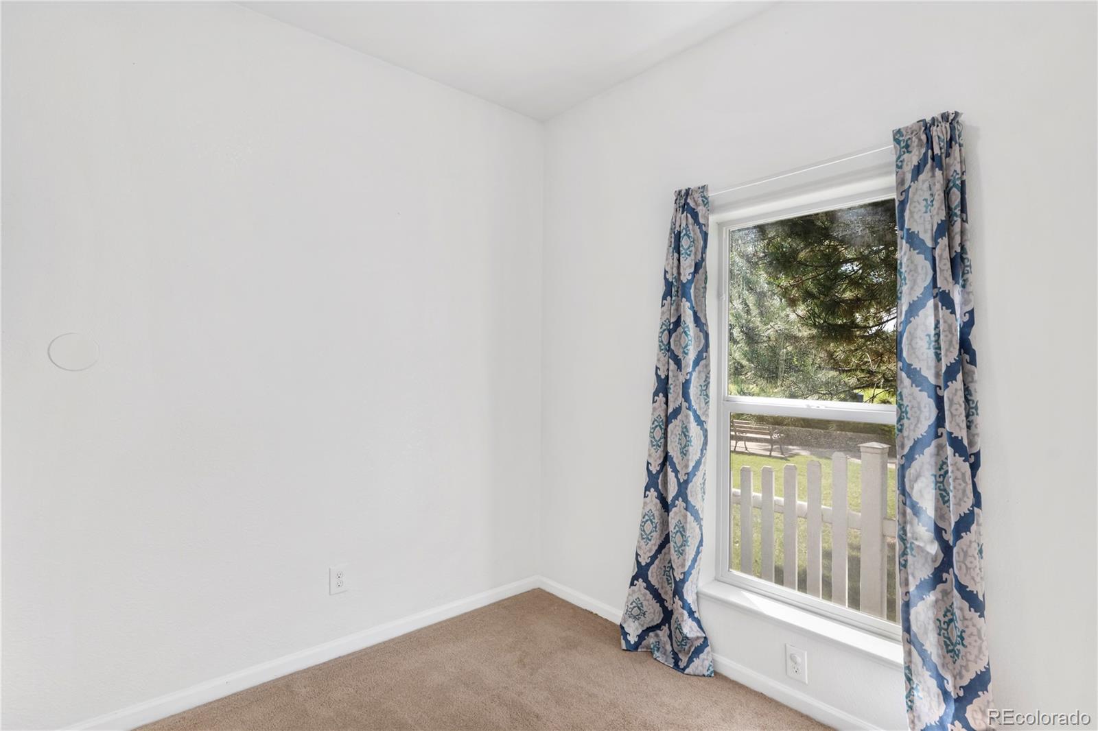 7875 Sunflower Green