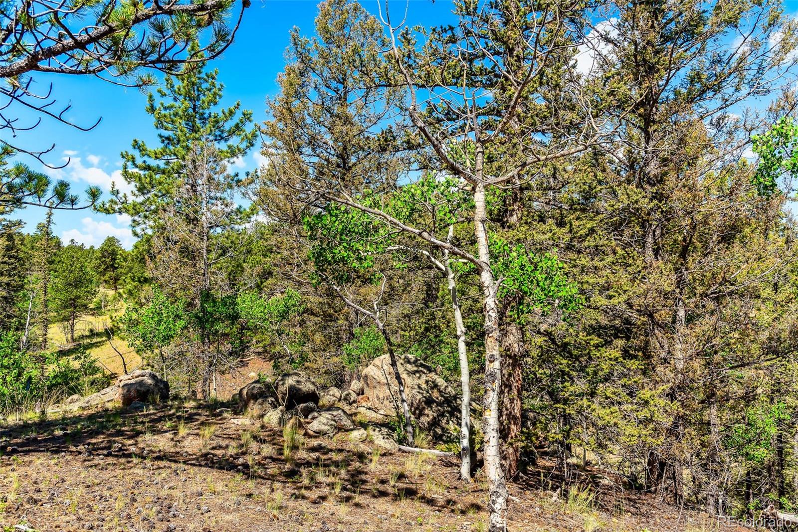 977 Aspen Trail
