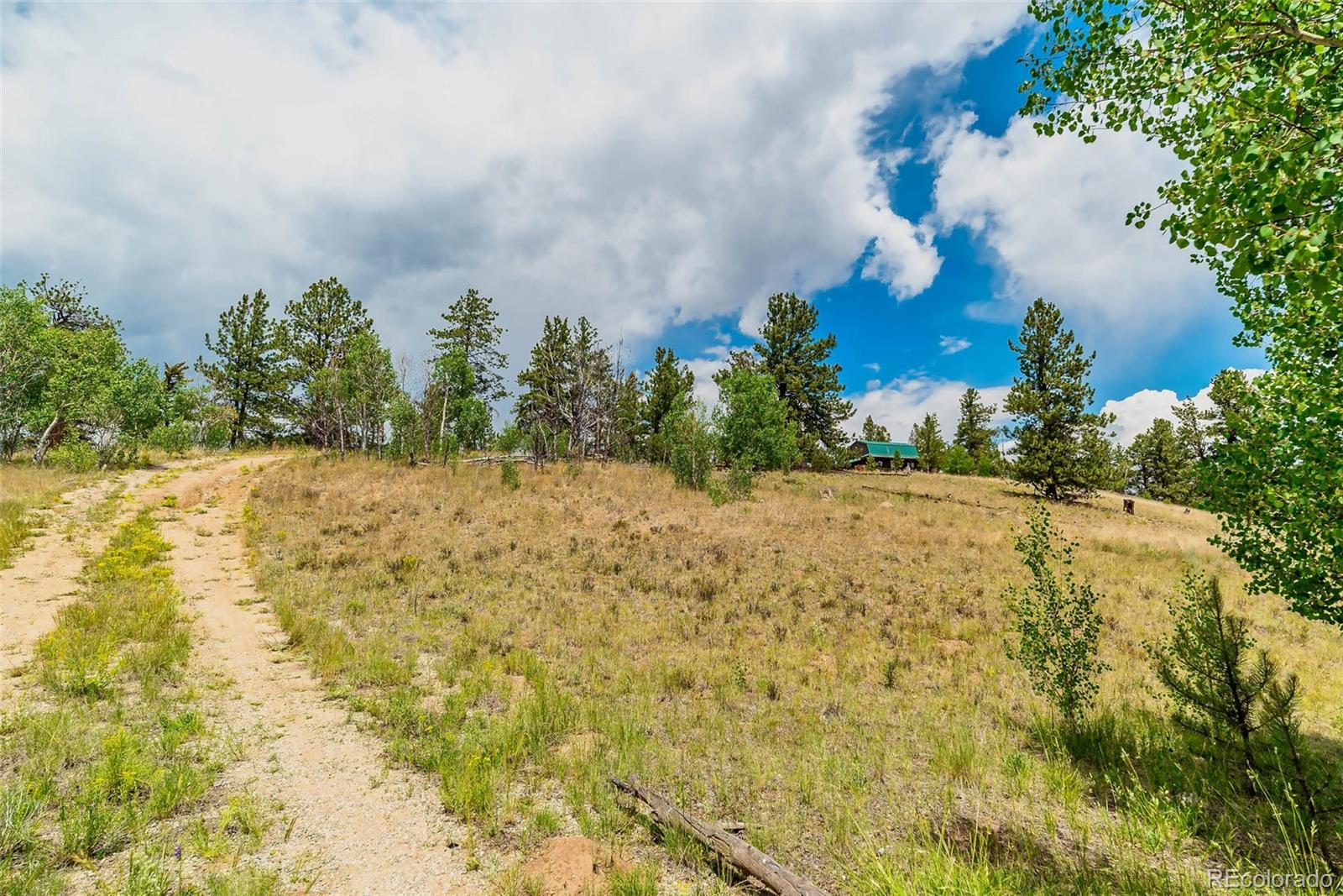977 Aspen Trail
