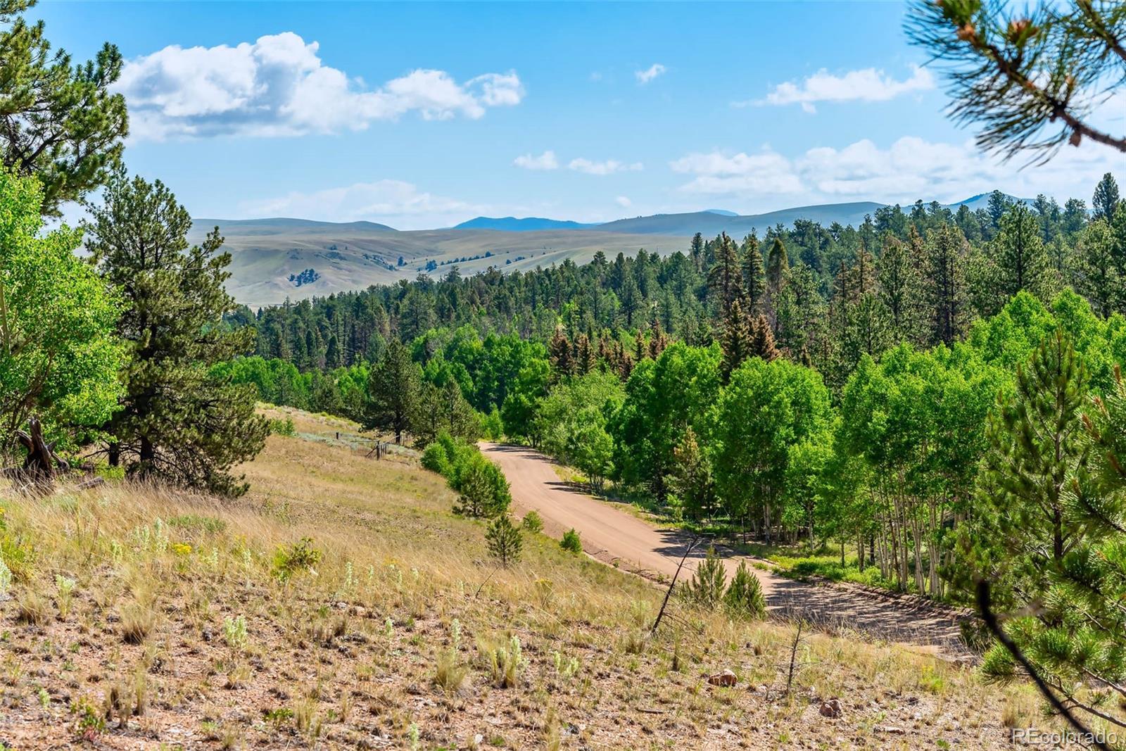 977 Aspen Trail