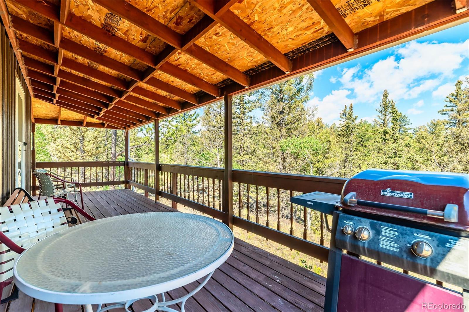 977 Aspen Trail