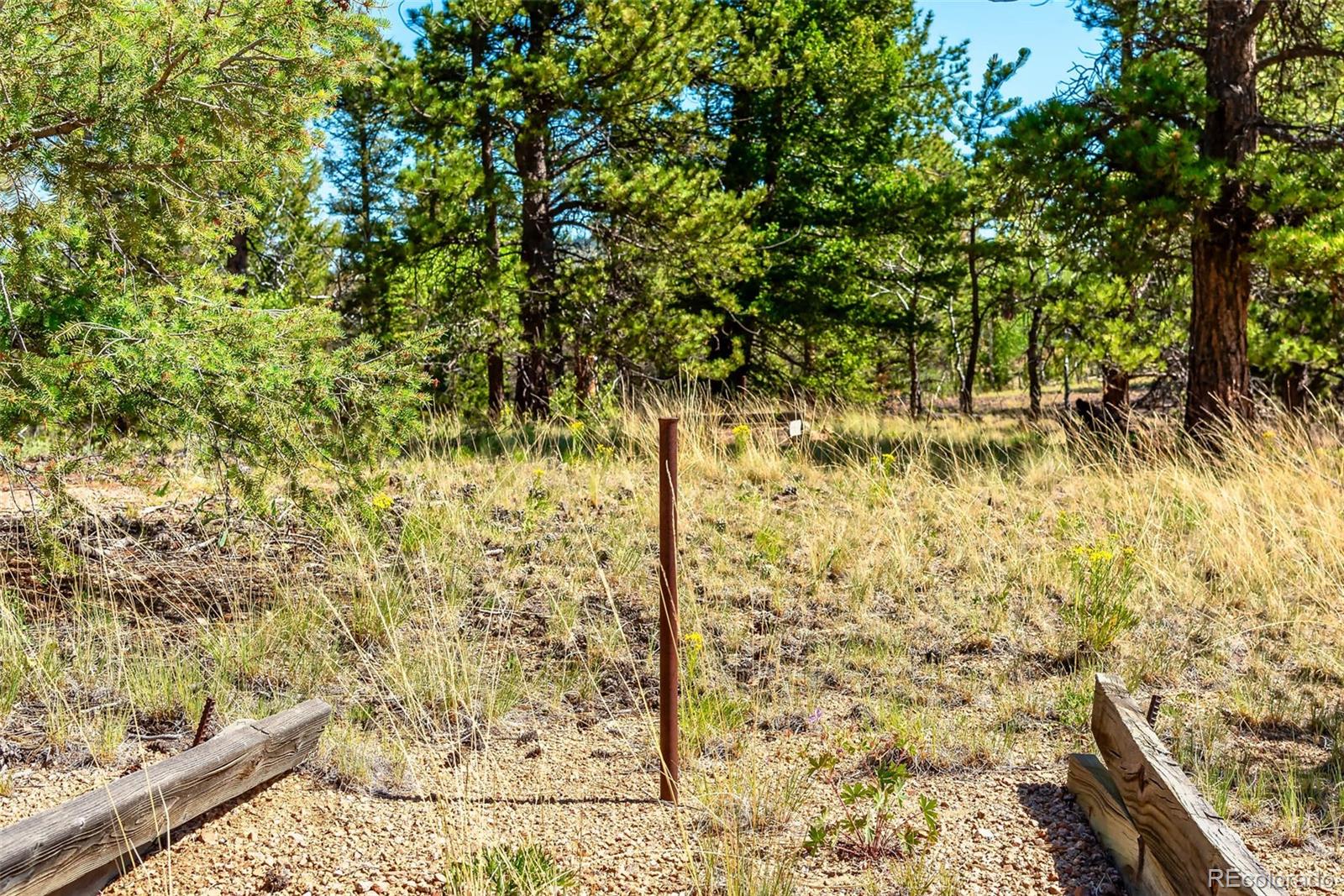 977 Aspen Trail