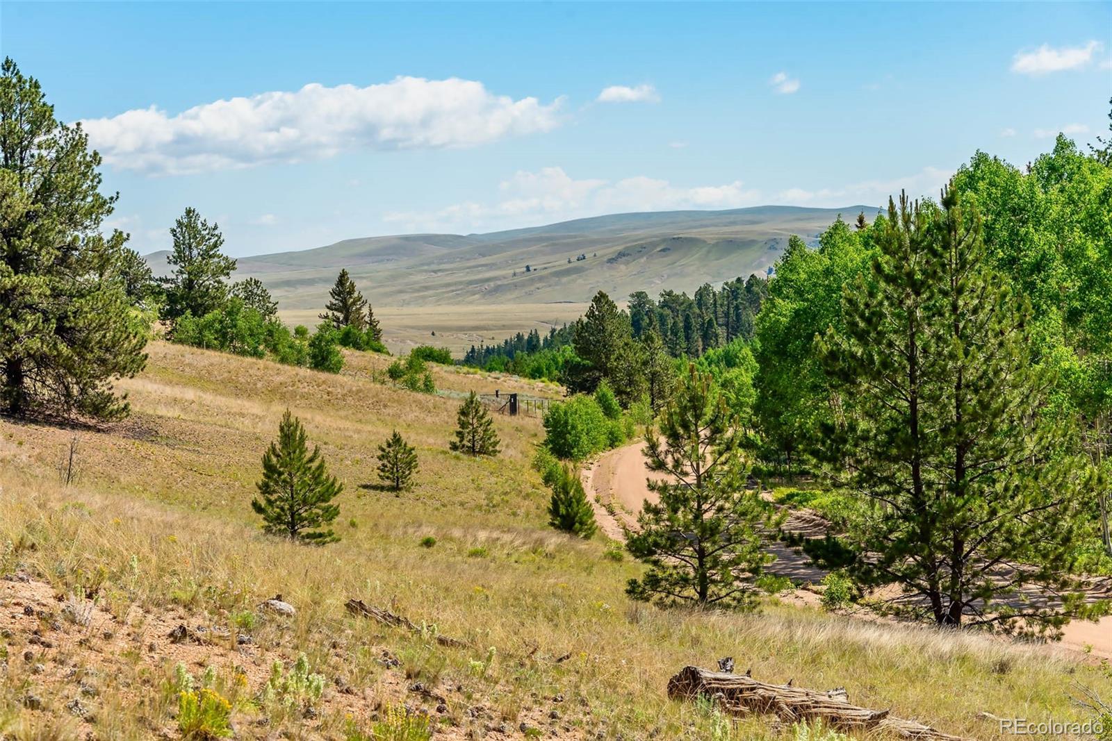 977 Aspen Trail