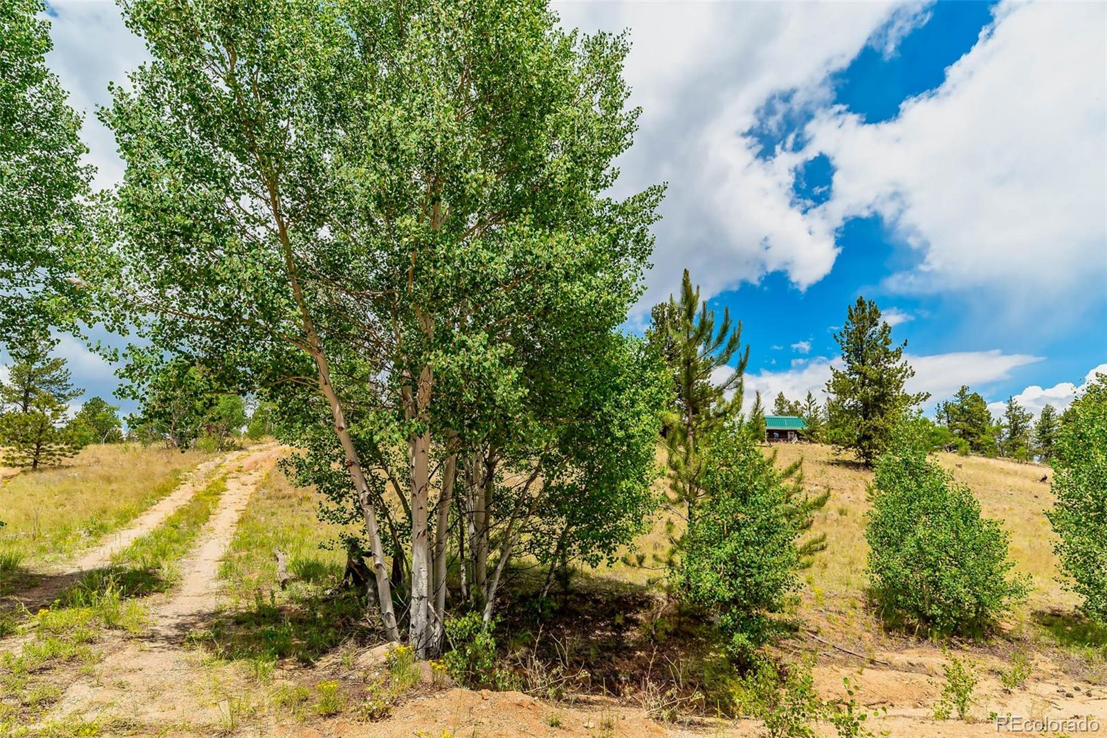 977 Aspen Trail
