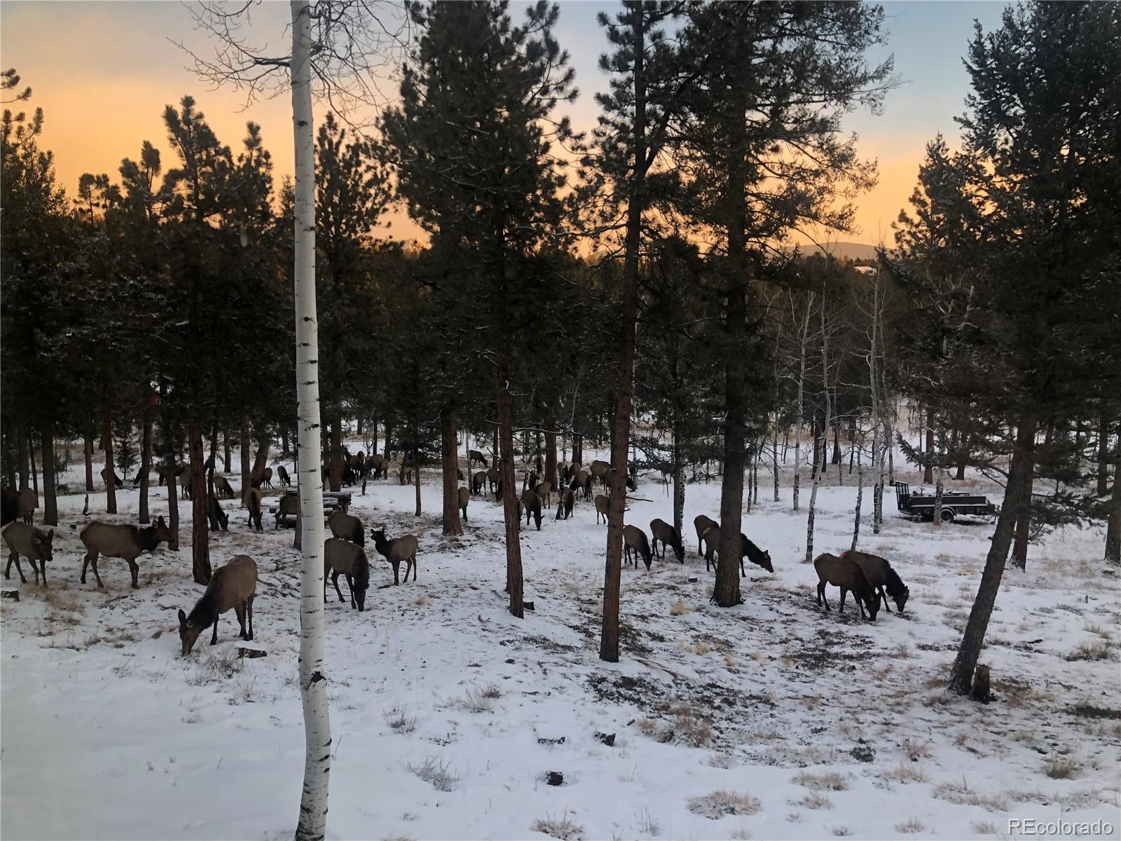 246 Tapadero Road