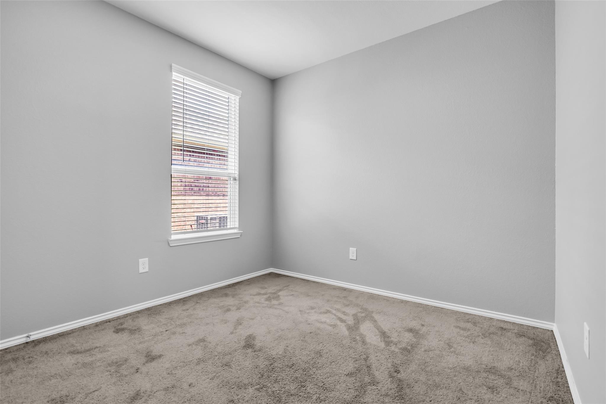 25703 Bottlebrush Sedge Street