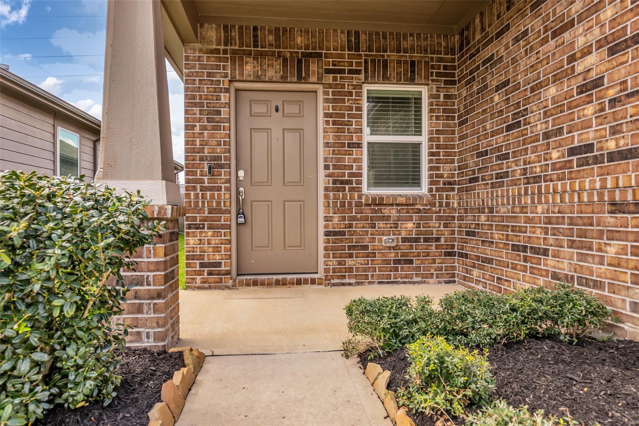 25703 Bottlebrush Sedge Street